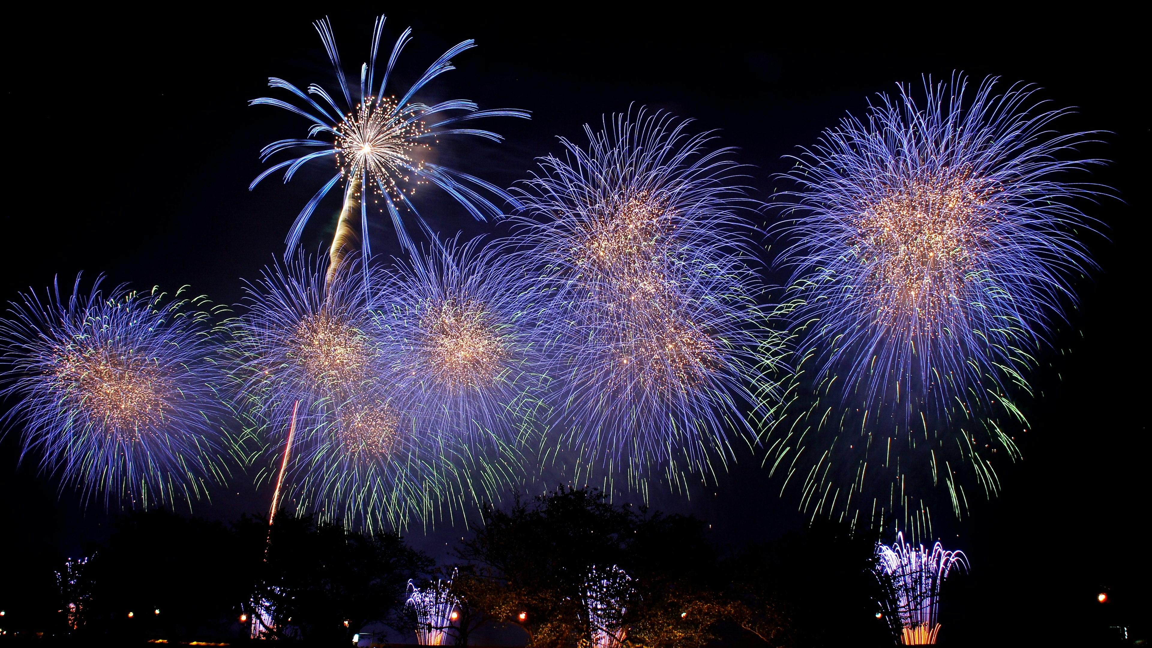 Spettacolo di fuochi d'artificio vibranti che illuminano il cielo notturno con esplosioni colorate