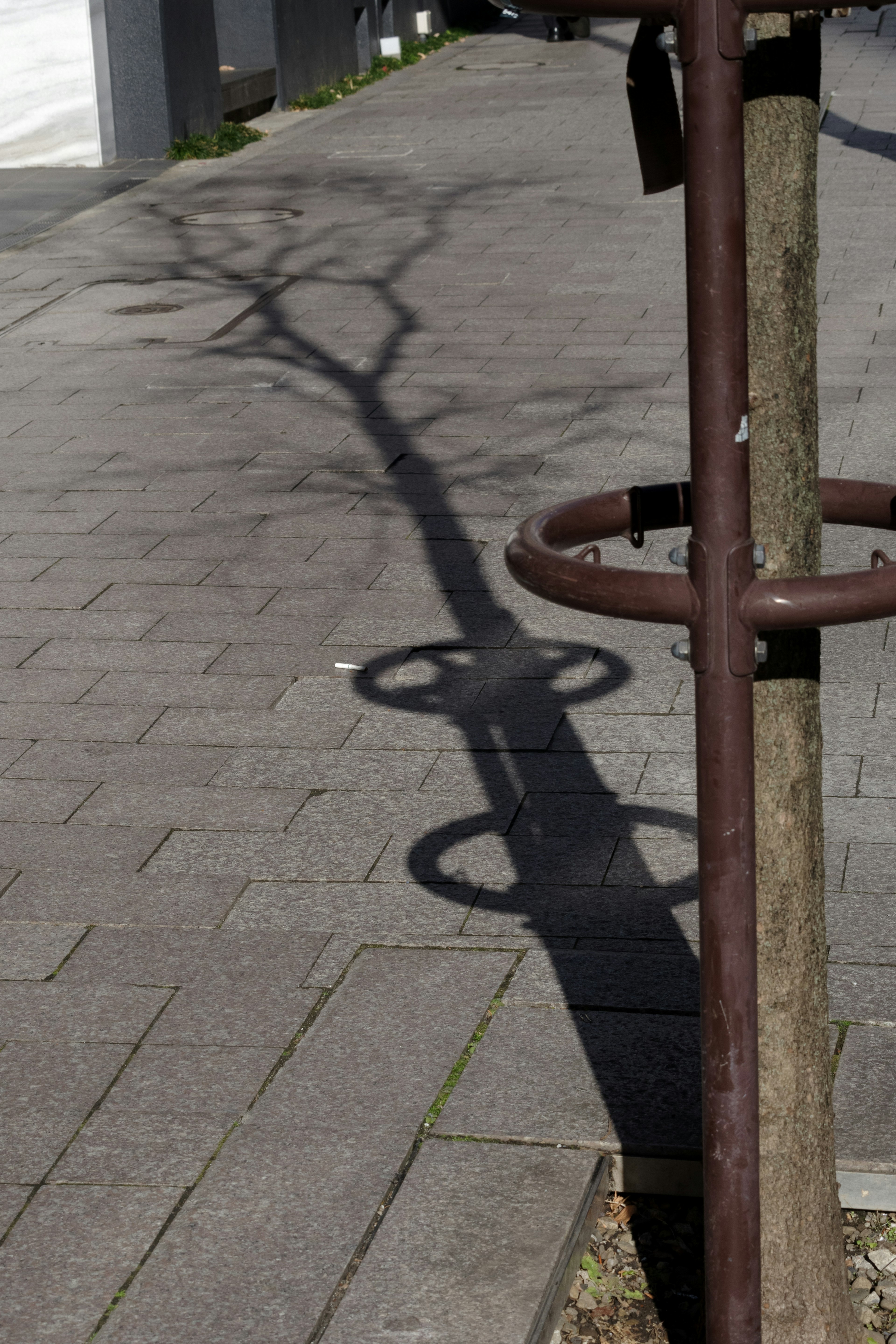 Der Schatten eines Baumes, der auf den Gehweg in einer städtischen Umgebung geworfen wird