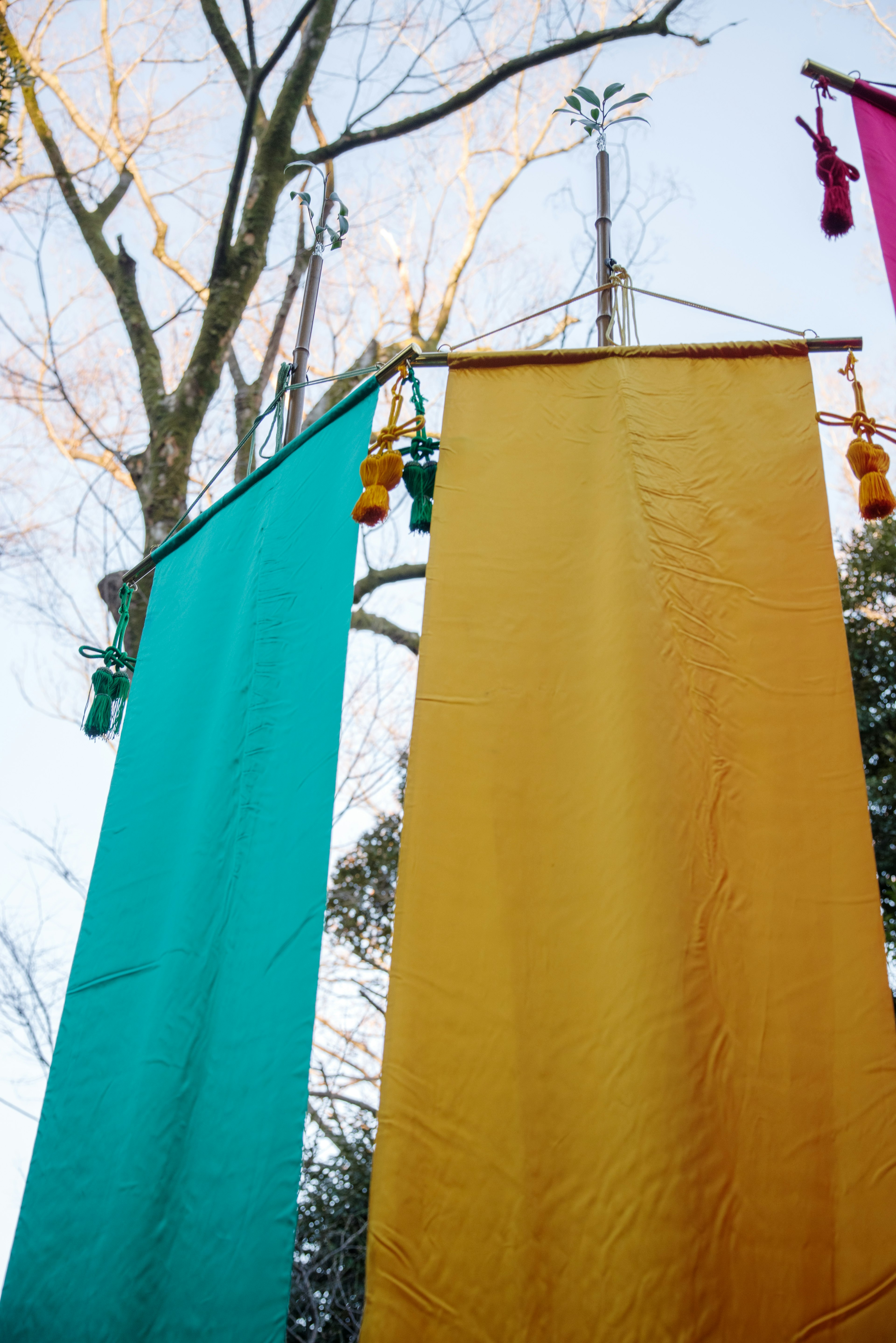 Bannières colorées en teal et jaune suspendues aux arbres