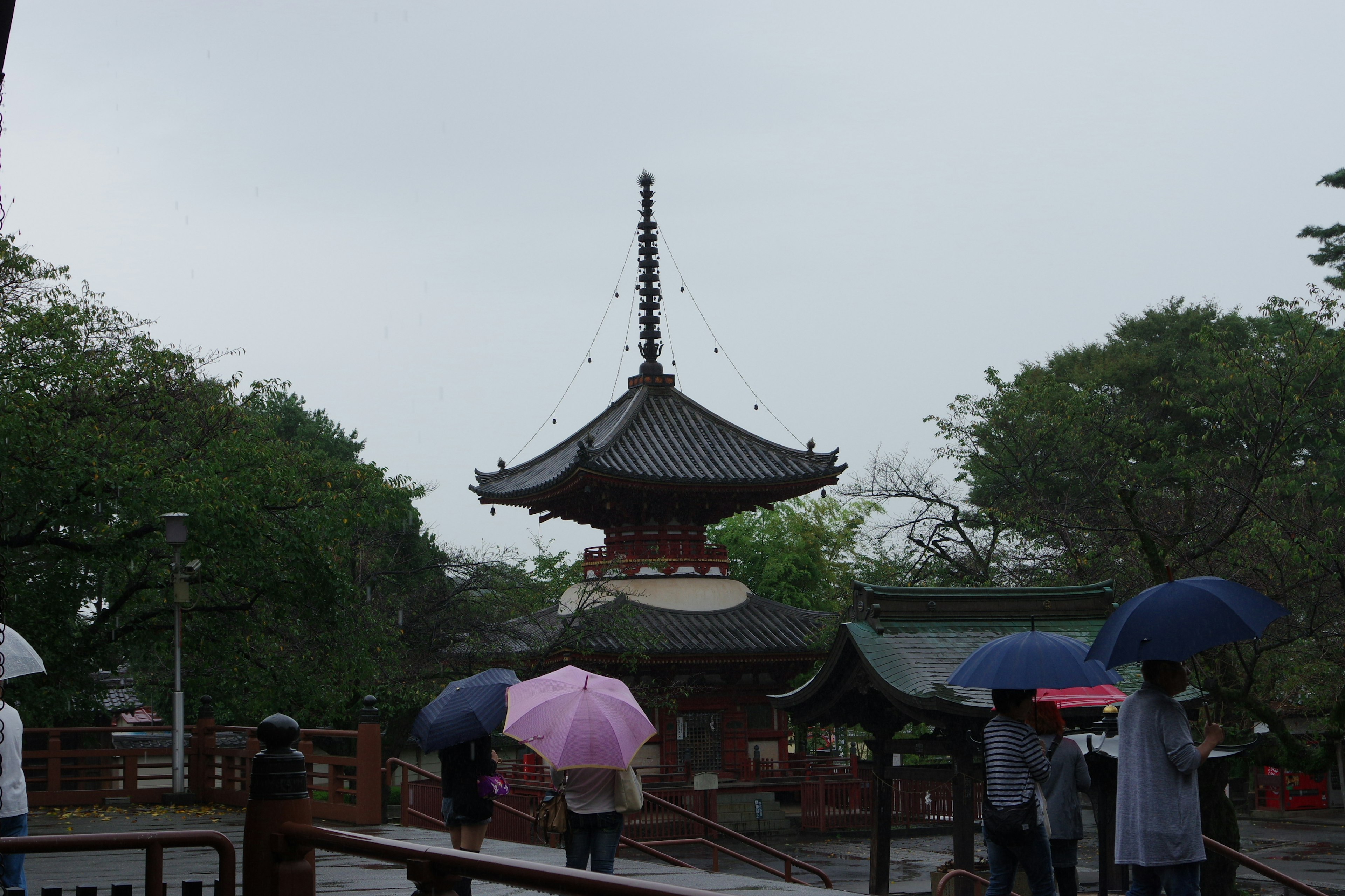 雨に濡れた寺院の周りを傘をさして歩く人々