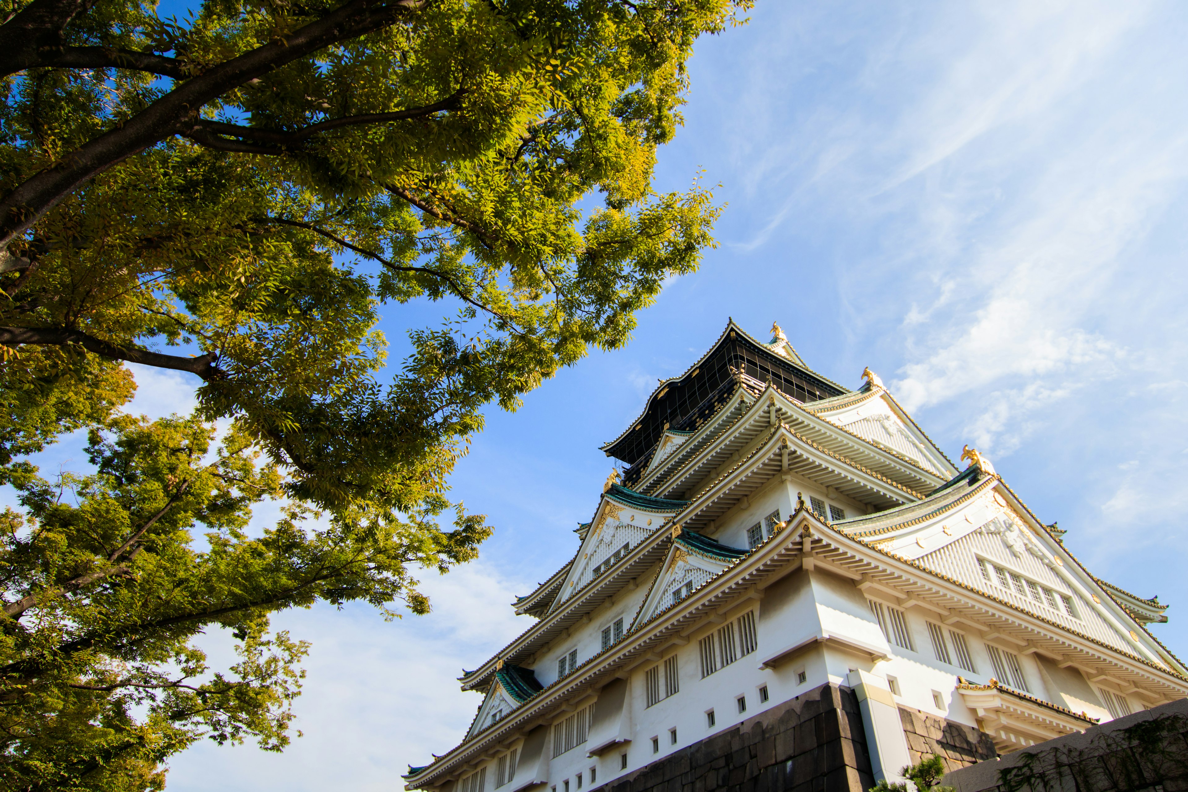 Kastil Nagoya dengan arsitektur yang indah dan pohon hijau di bawah langit biru