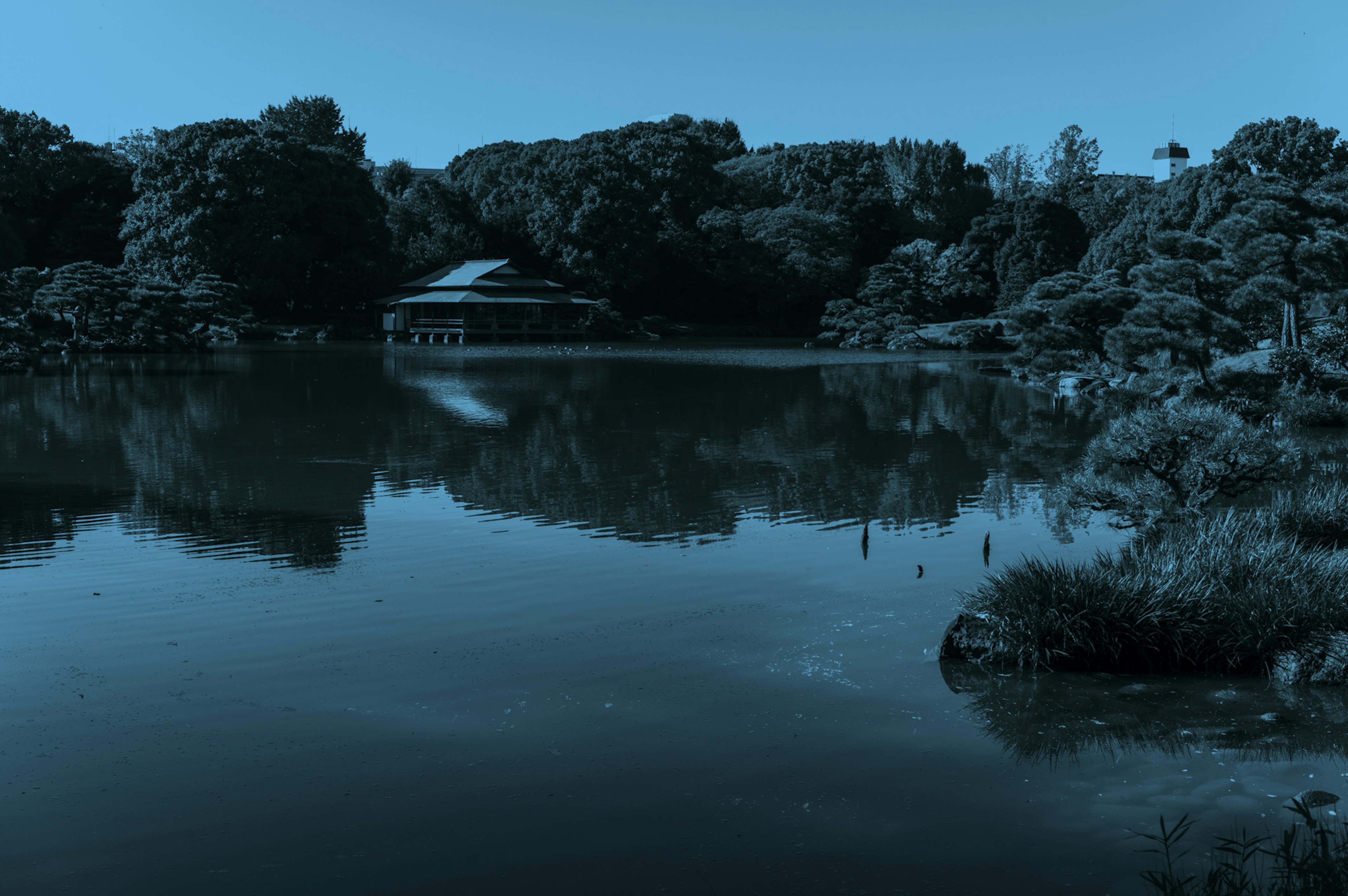 Ruhiger Seeblick mit spiegelnden üppigen Bäumen und einem Gebäude