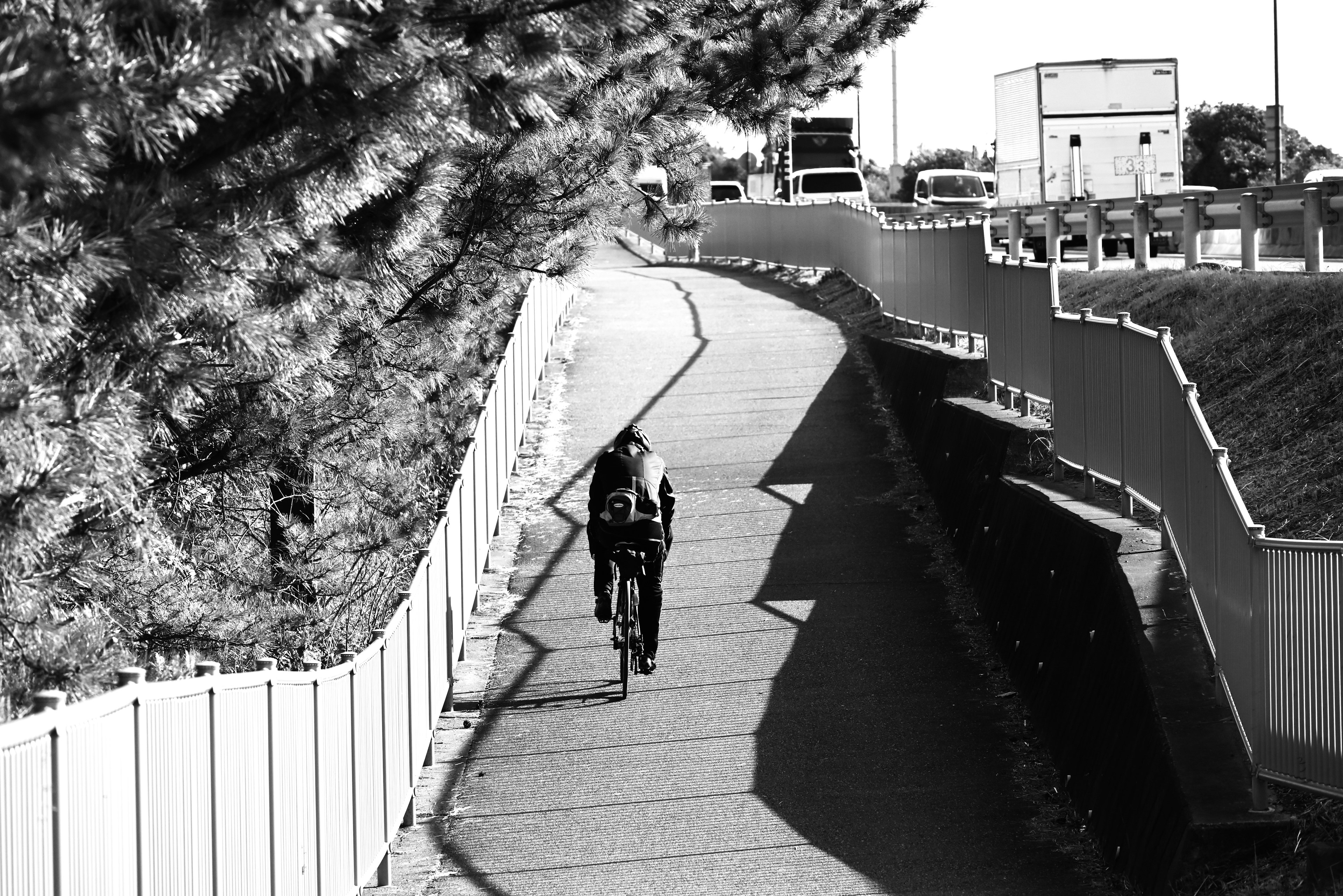 Black and white photo of a person riding a bicycle on a path