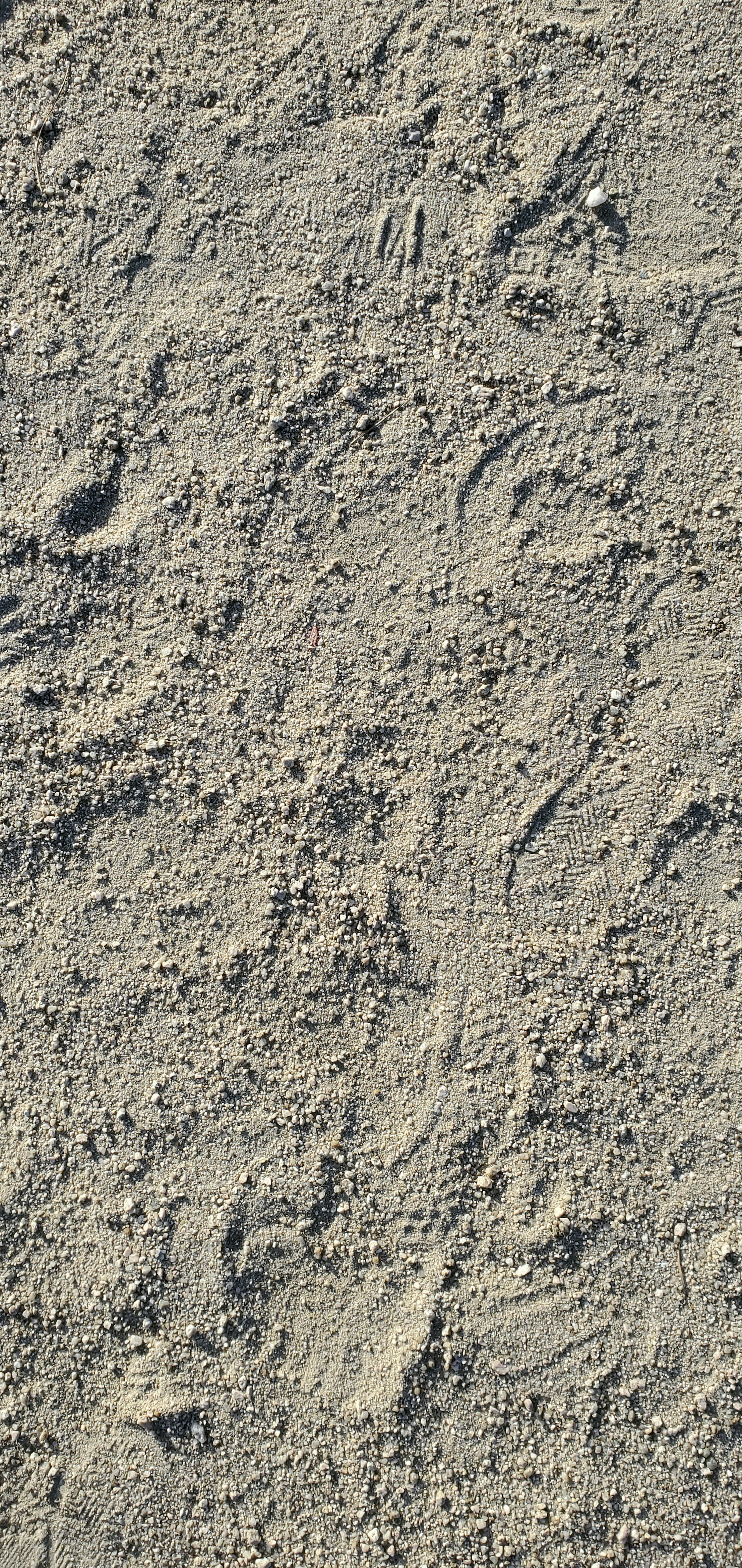 Surface of gravel showing various patterns and textures