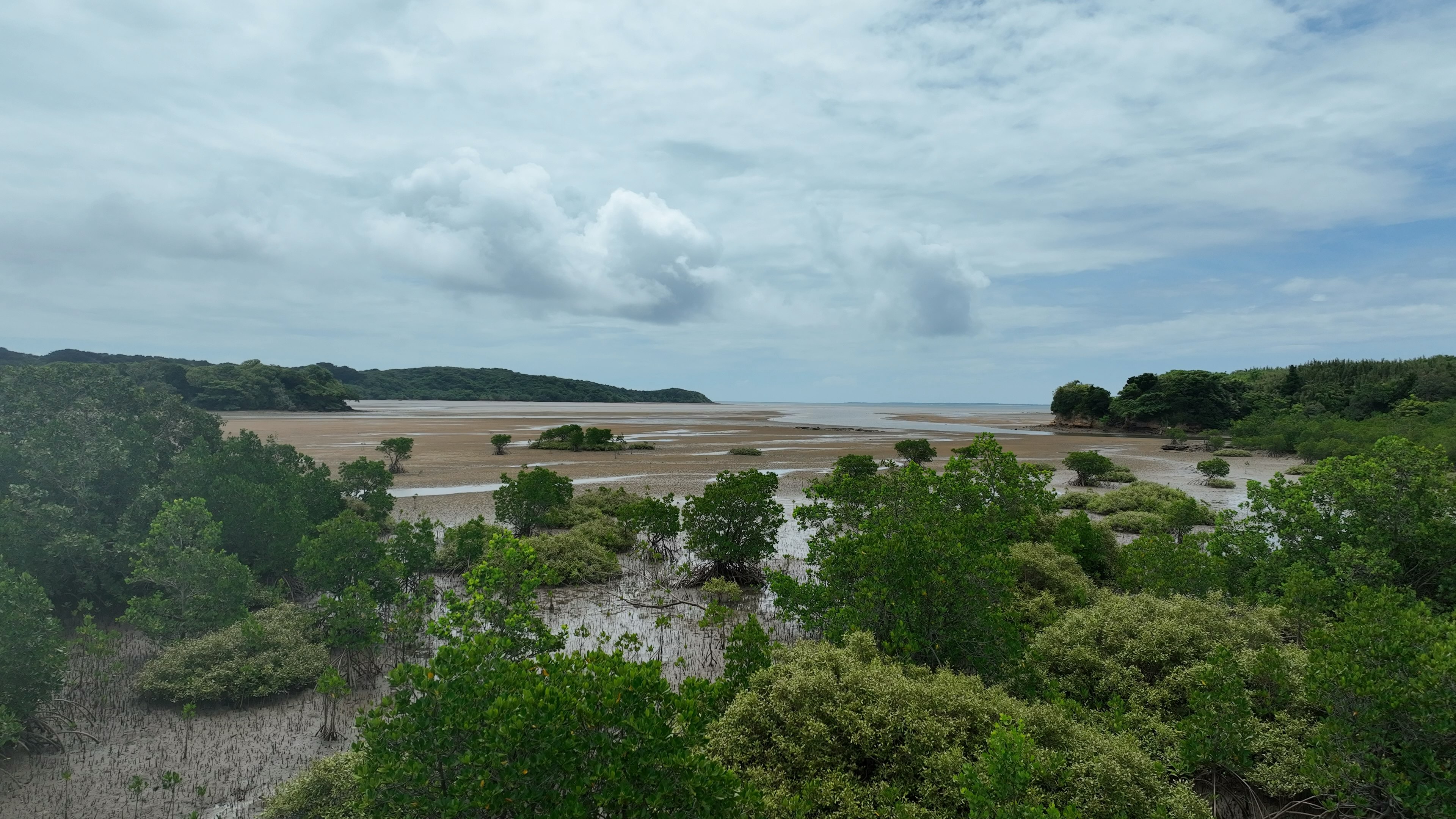 Panoramablick auf das Meer mit üppigem Grün