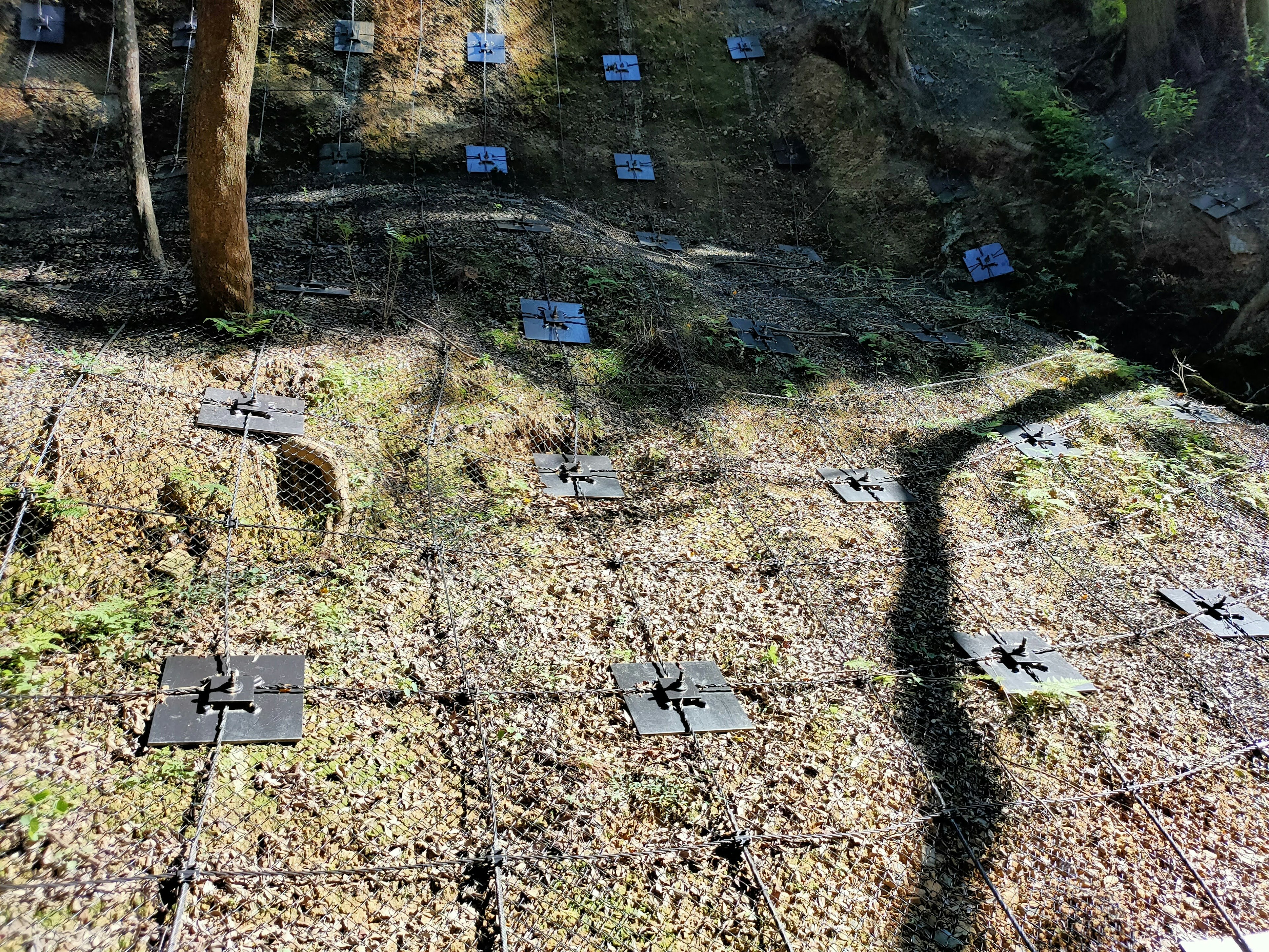 Black mats arranged on a sloped terrain surrounded by trees