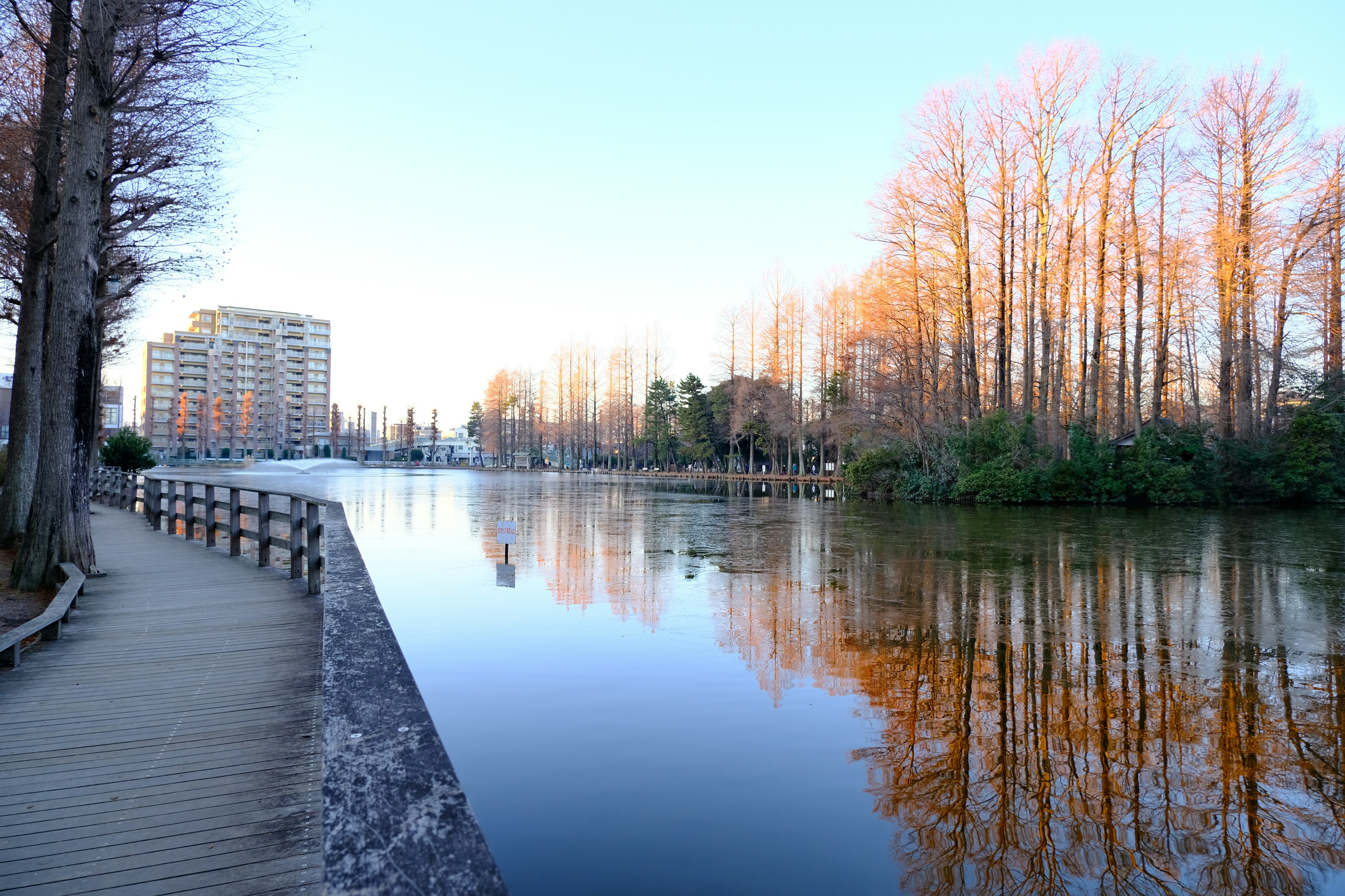 Ruhige Flussansicht mit reflektierenden Bäumen und Gebäuden