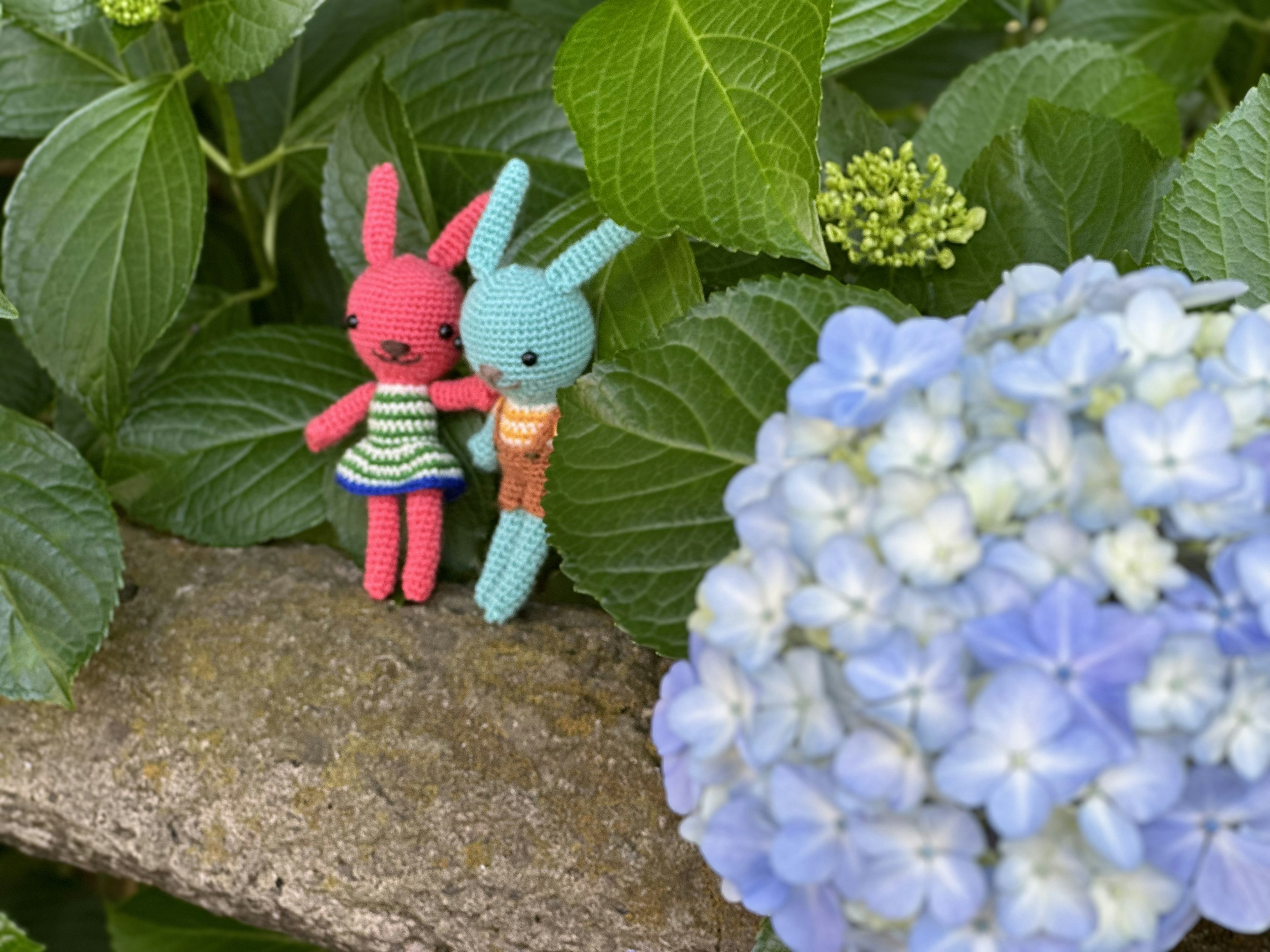 Deux lapins en peluche rose et bleu se tenant sur une pierre entourée de feuilles vertes et de fleurs bleues