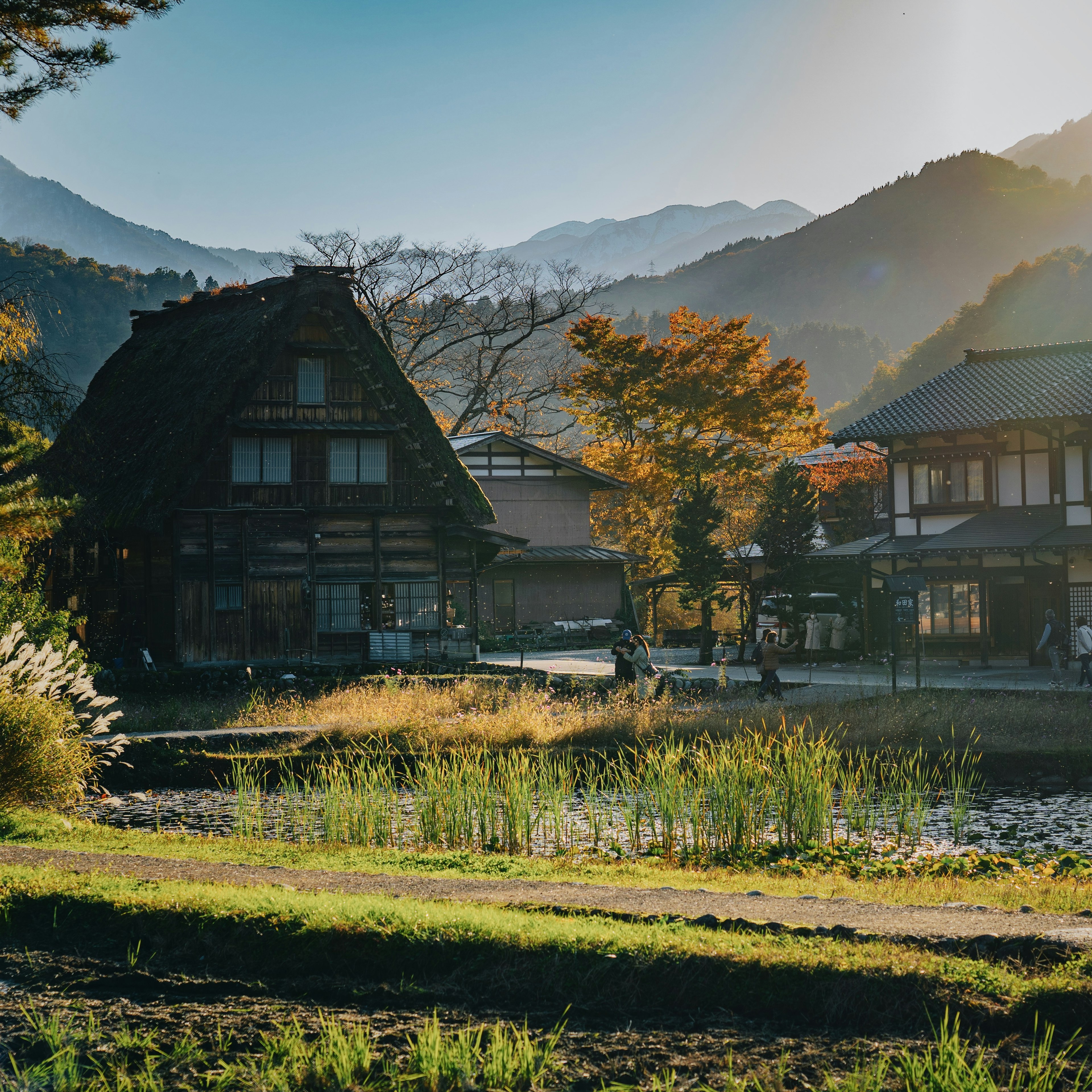 日本山村的风景，传统房屋和秋季树叶在柔和的光线下