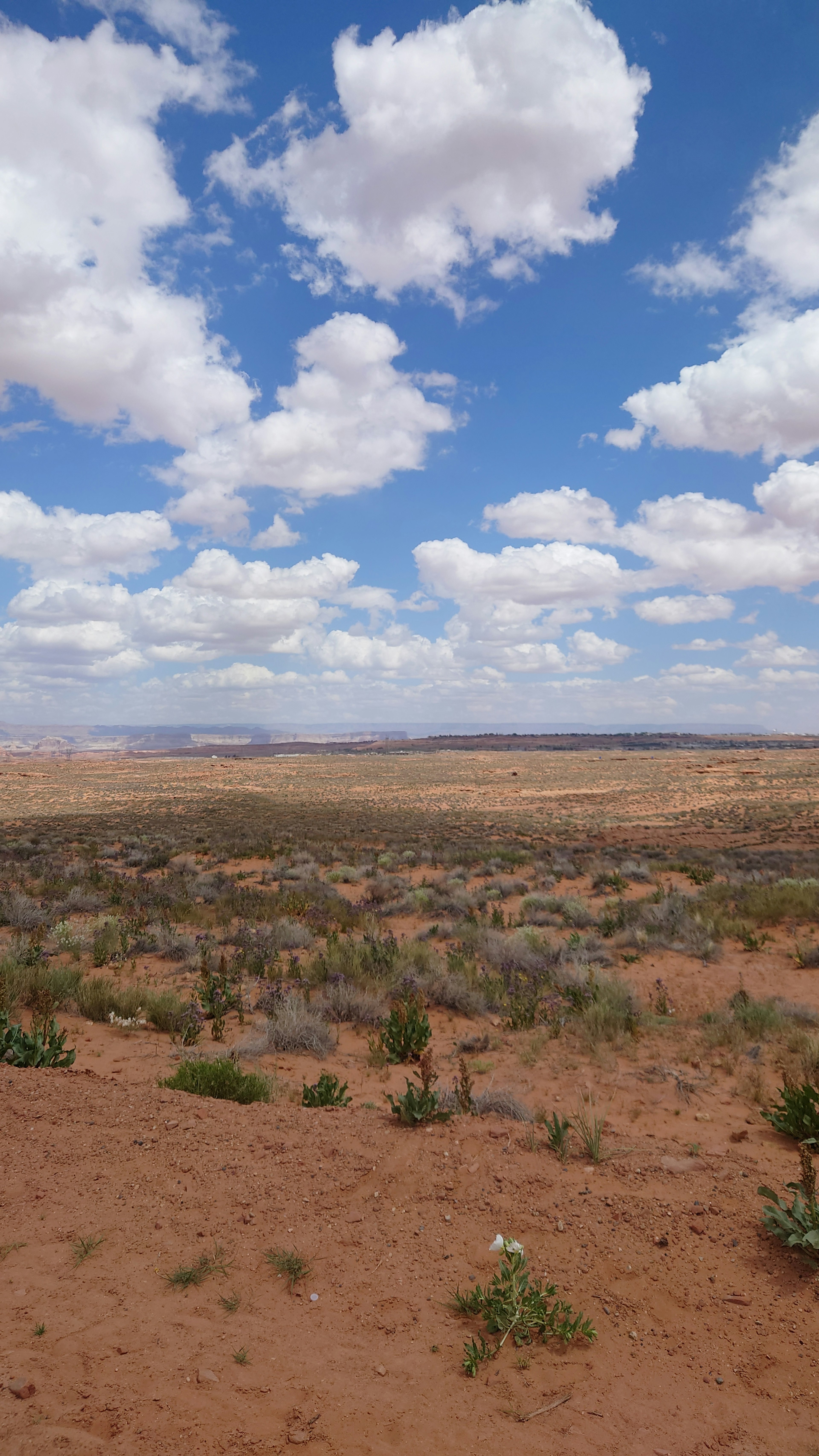 Weite Wüstenlandschaft mit blauem Himmel und weißen Wolken