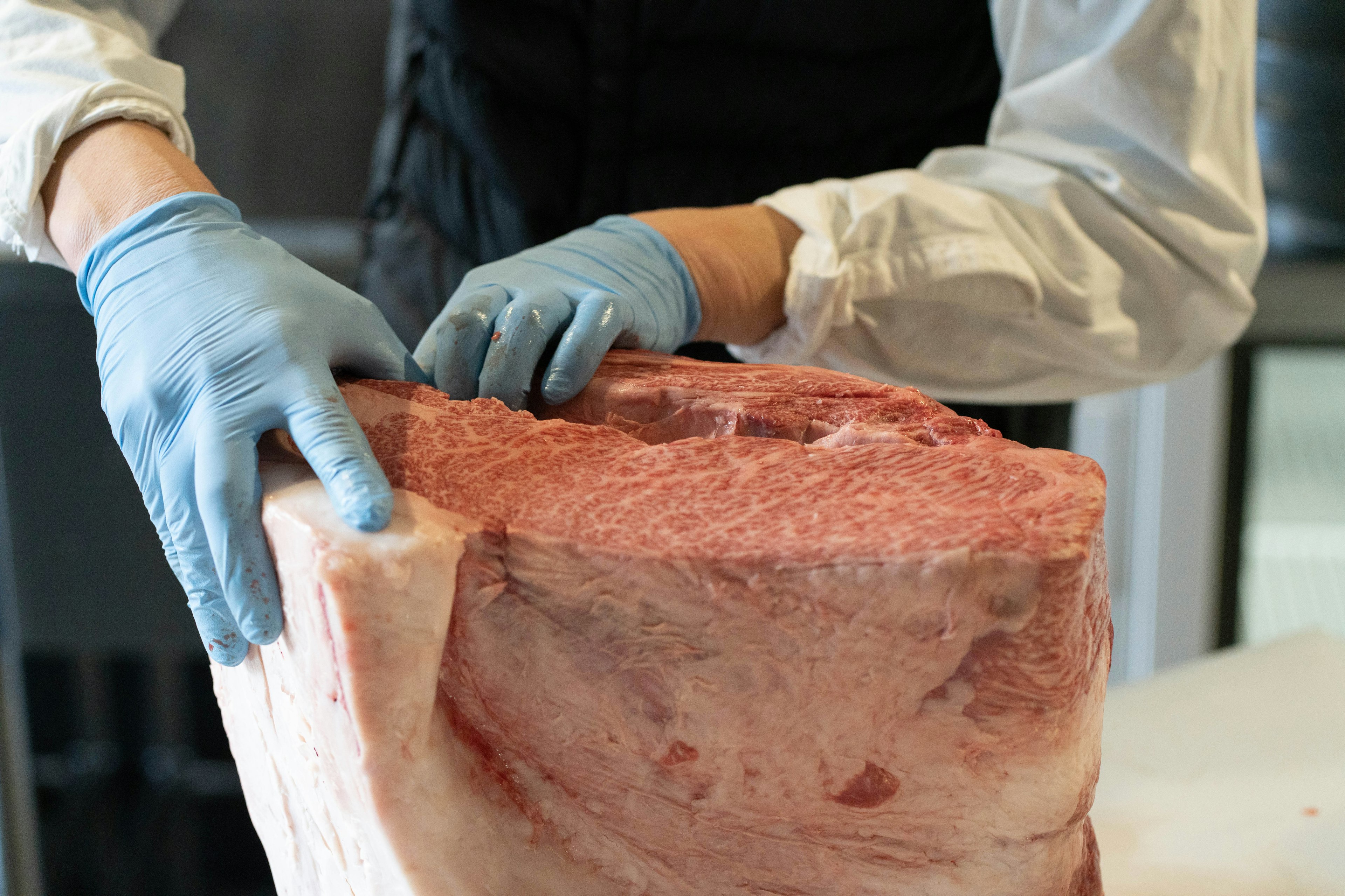 Hände mit Handschuhen, die ein großes Stück Fleisch handhaben