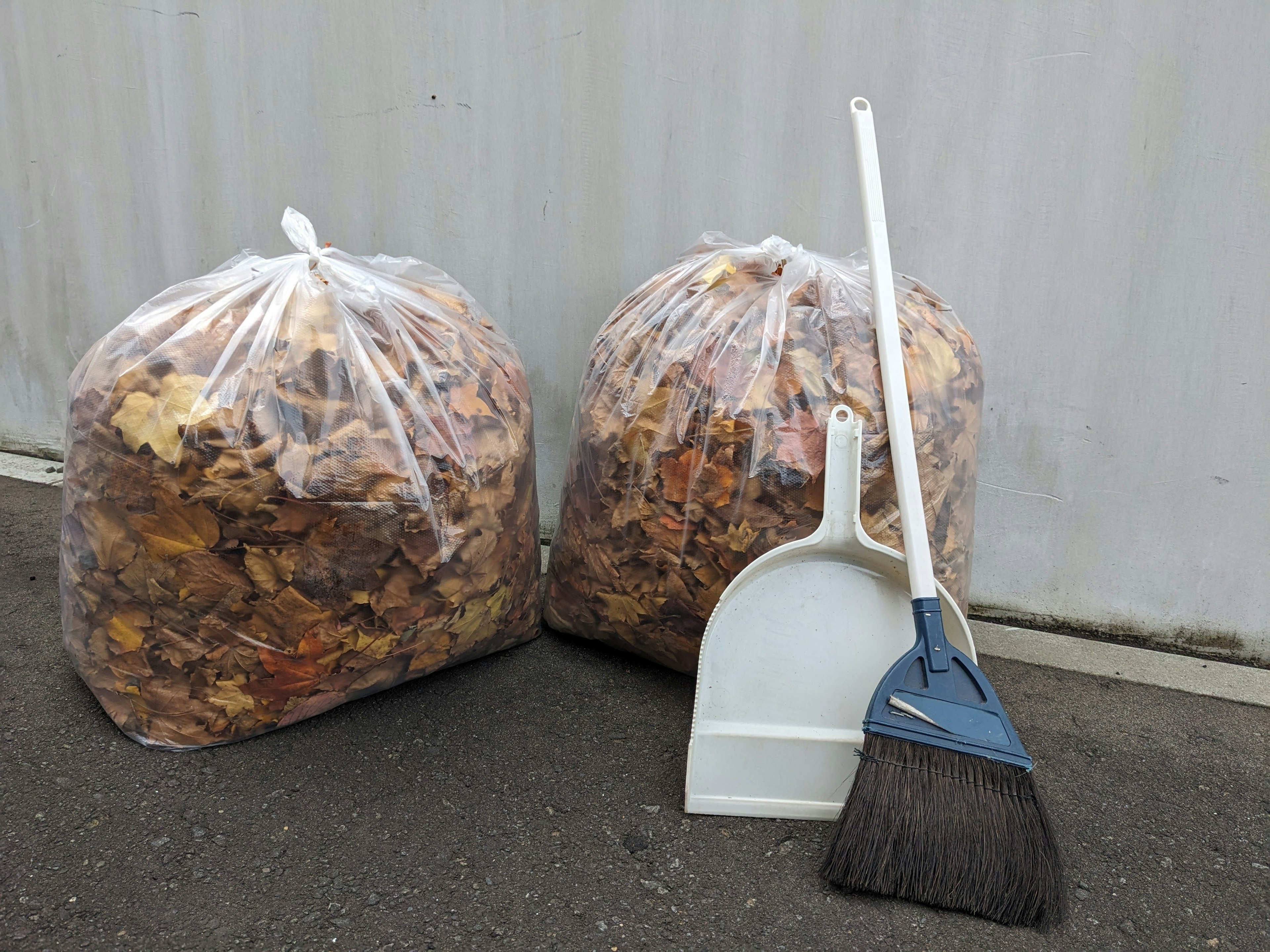 Two bags of leaves and cleaning tools on the ground