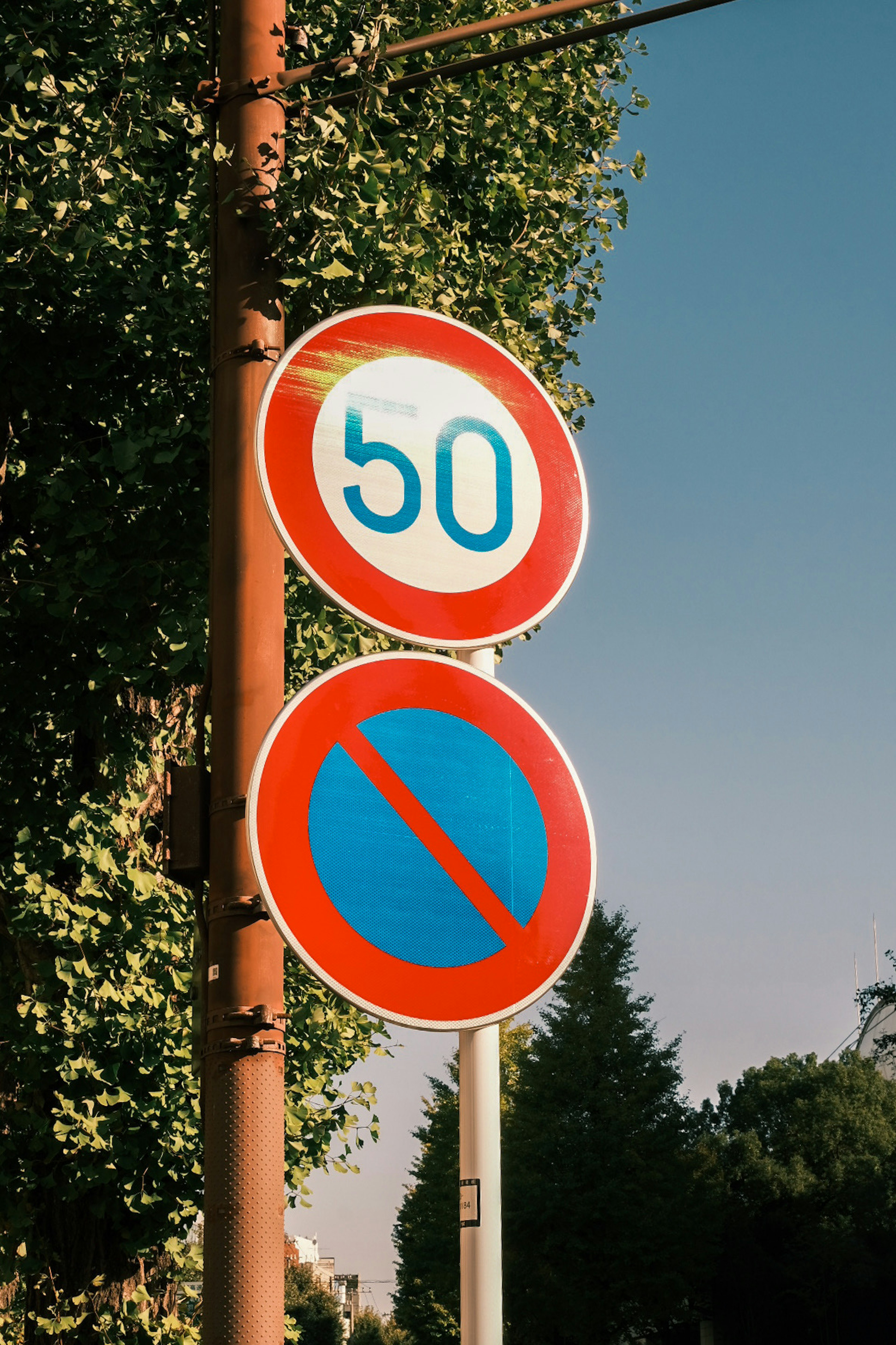 Straßenszene mit einem Geschwindigkeitsbegrenzungsschild von 50 und einem Verbotsschild mit rotem Hintergrund