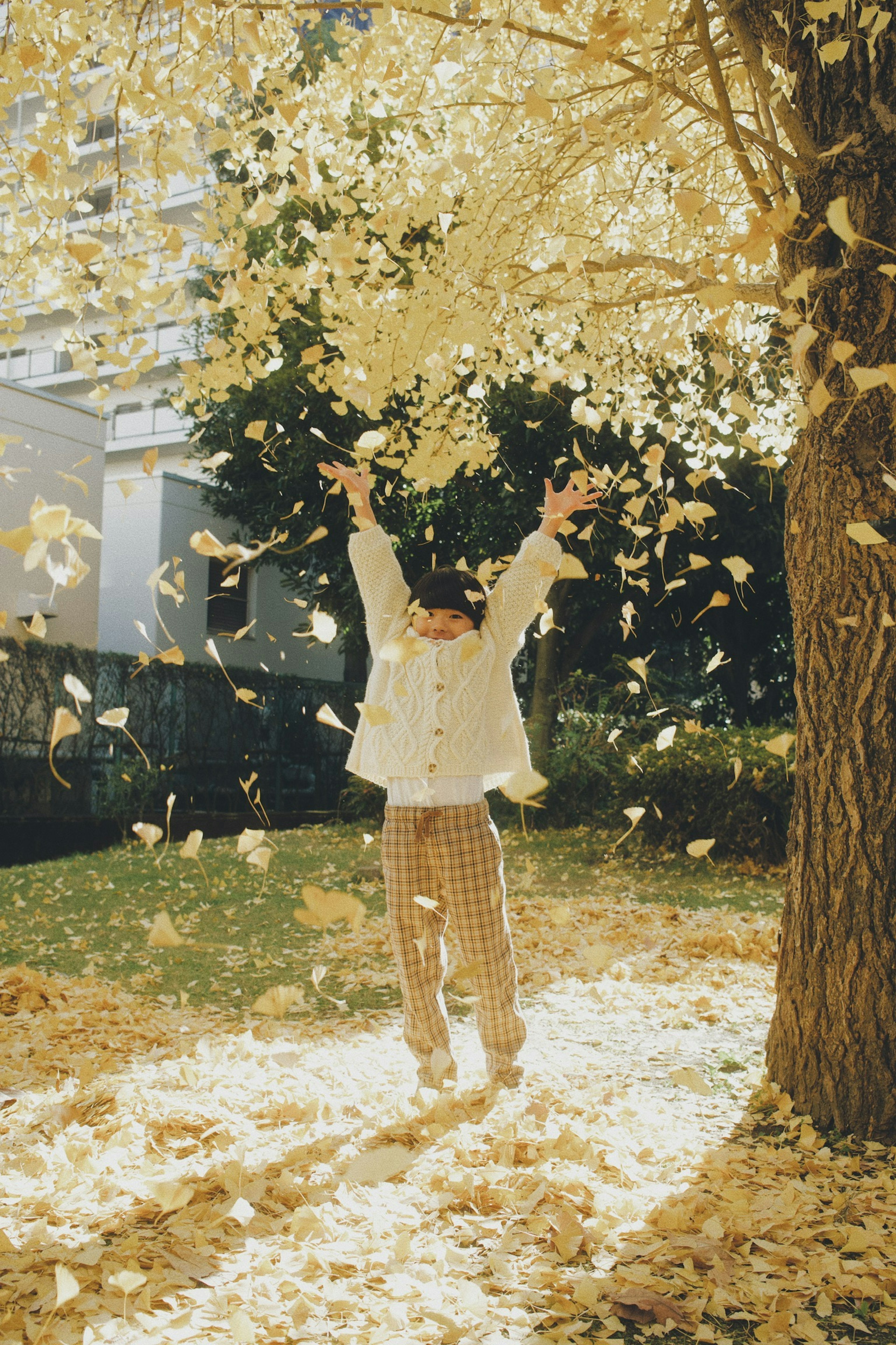 Child enjoying falling autumn leaves under a tree