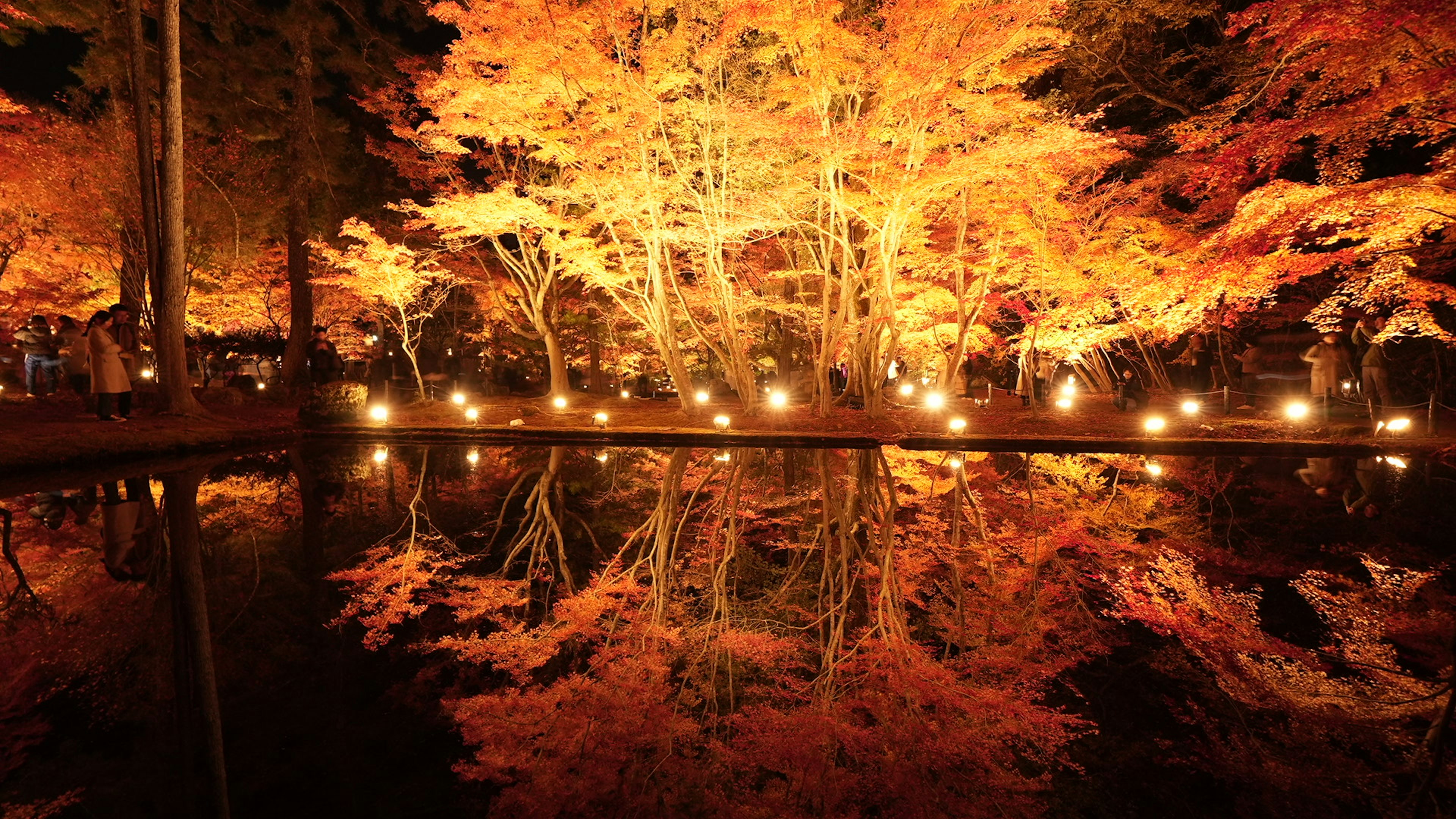 A stunning view of autumn foliage and its reflection in a pond at night