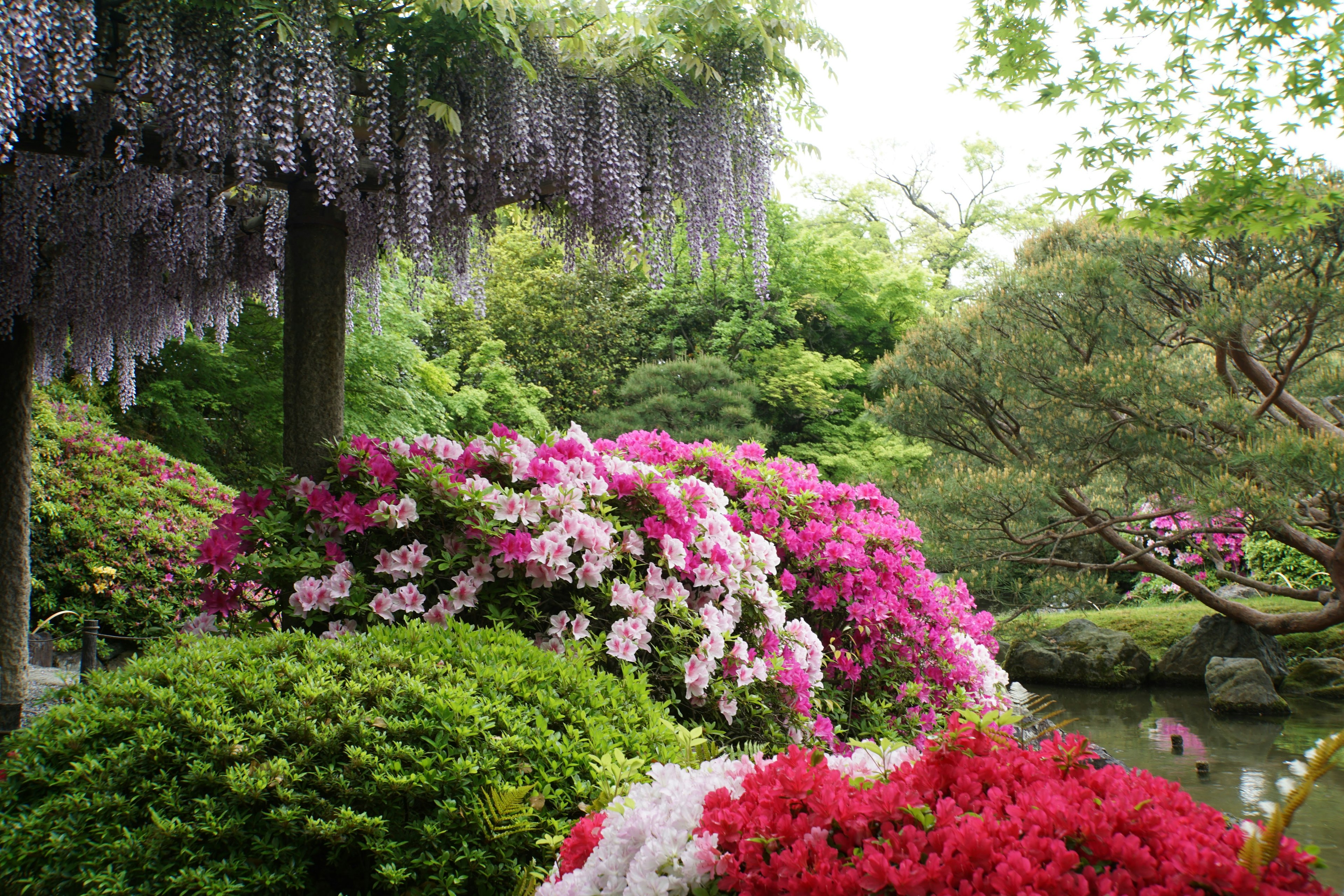 色とりどりの花々が咲く日本庭園の風景