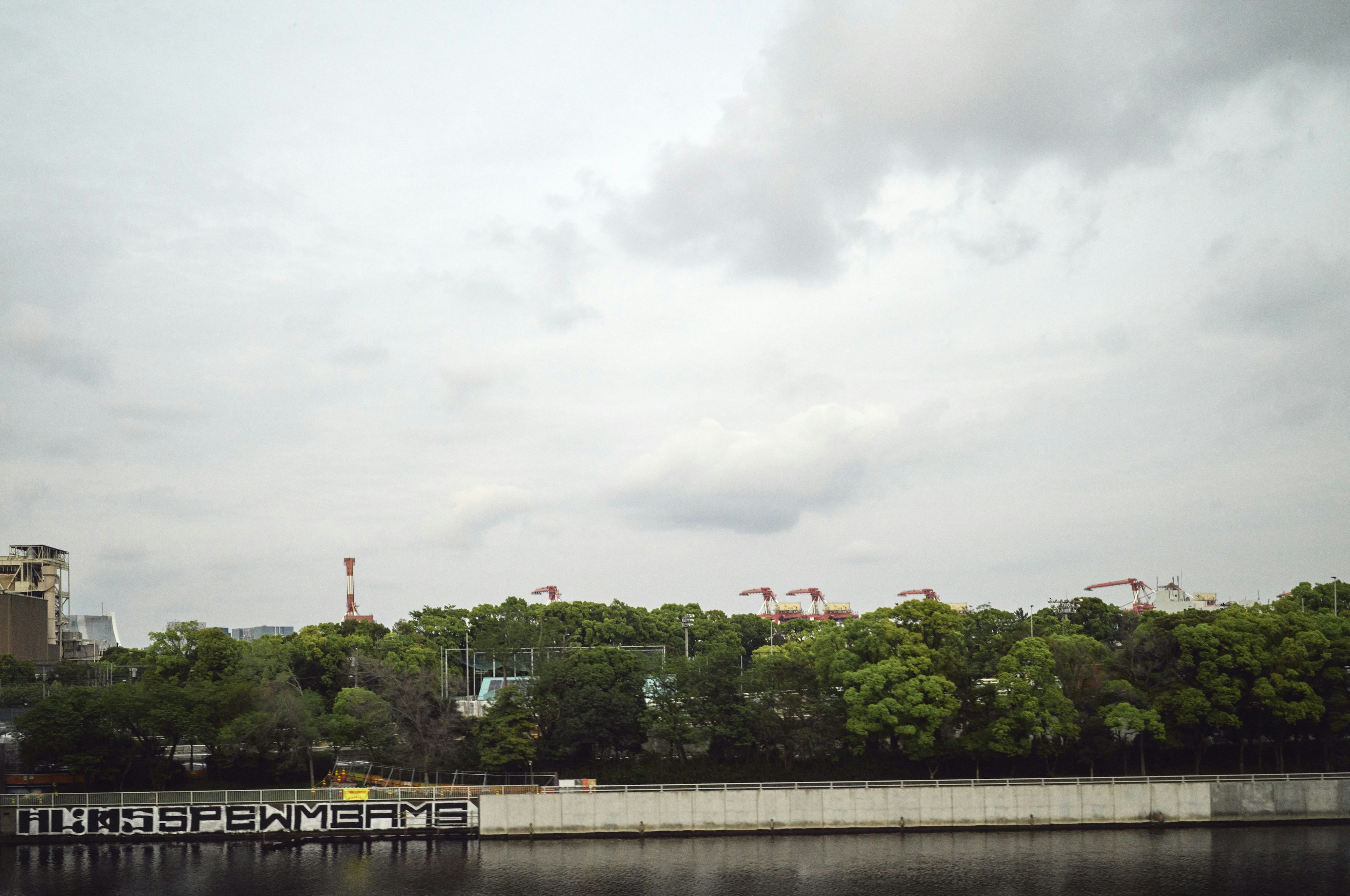 Scène urbaine tranquille avec un bord de l'eau et des arbres verts luxuriants