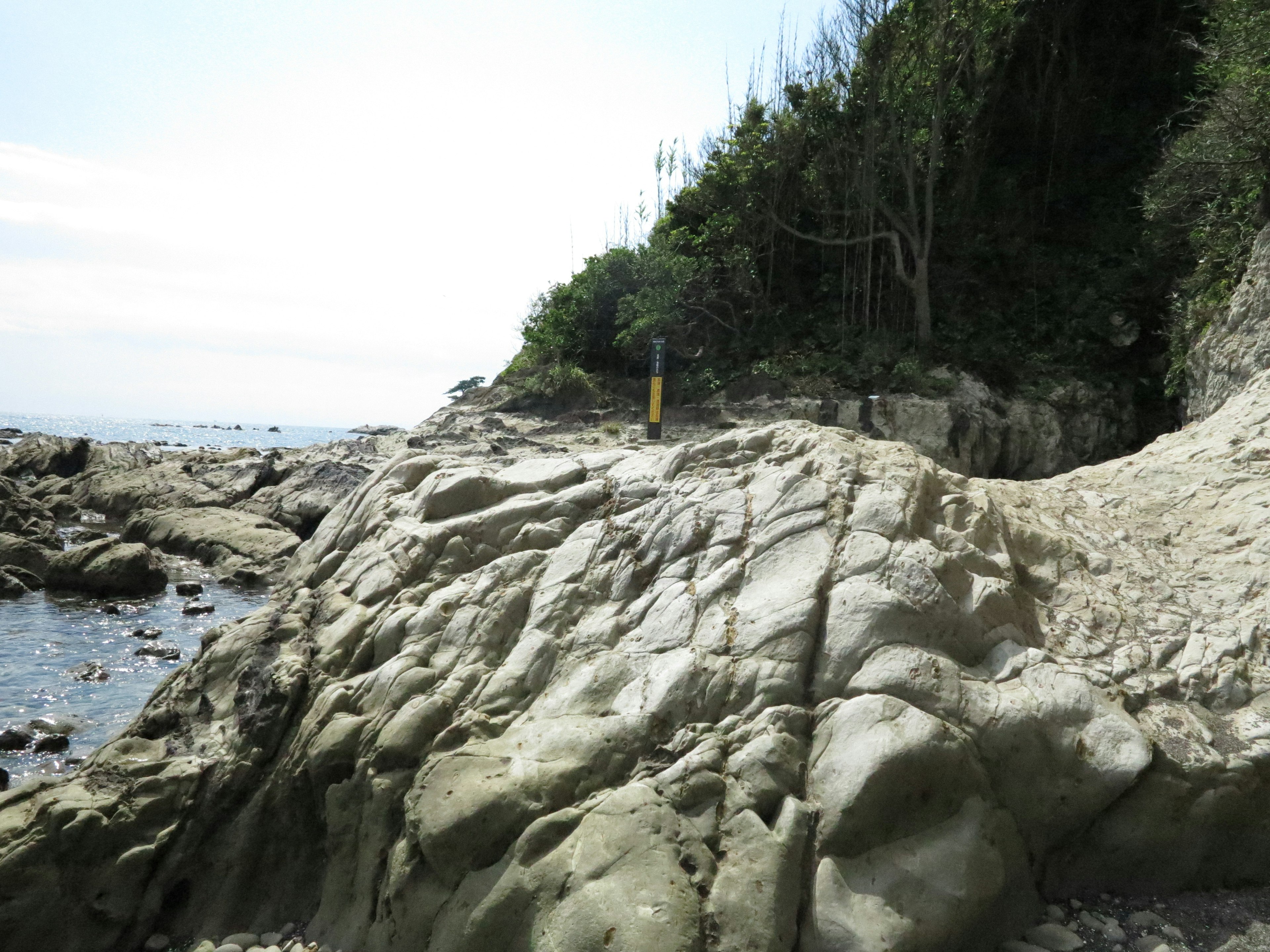 海岸の岩場と緑の木々が見える自然の風景