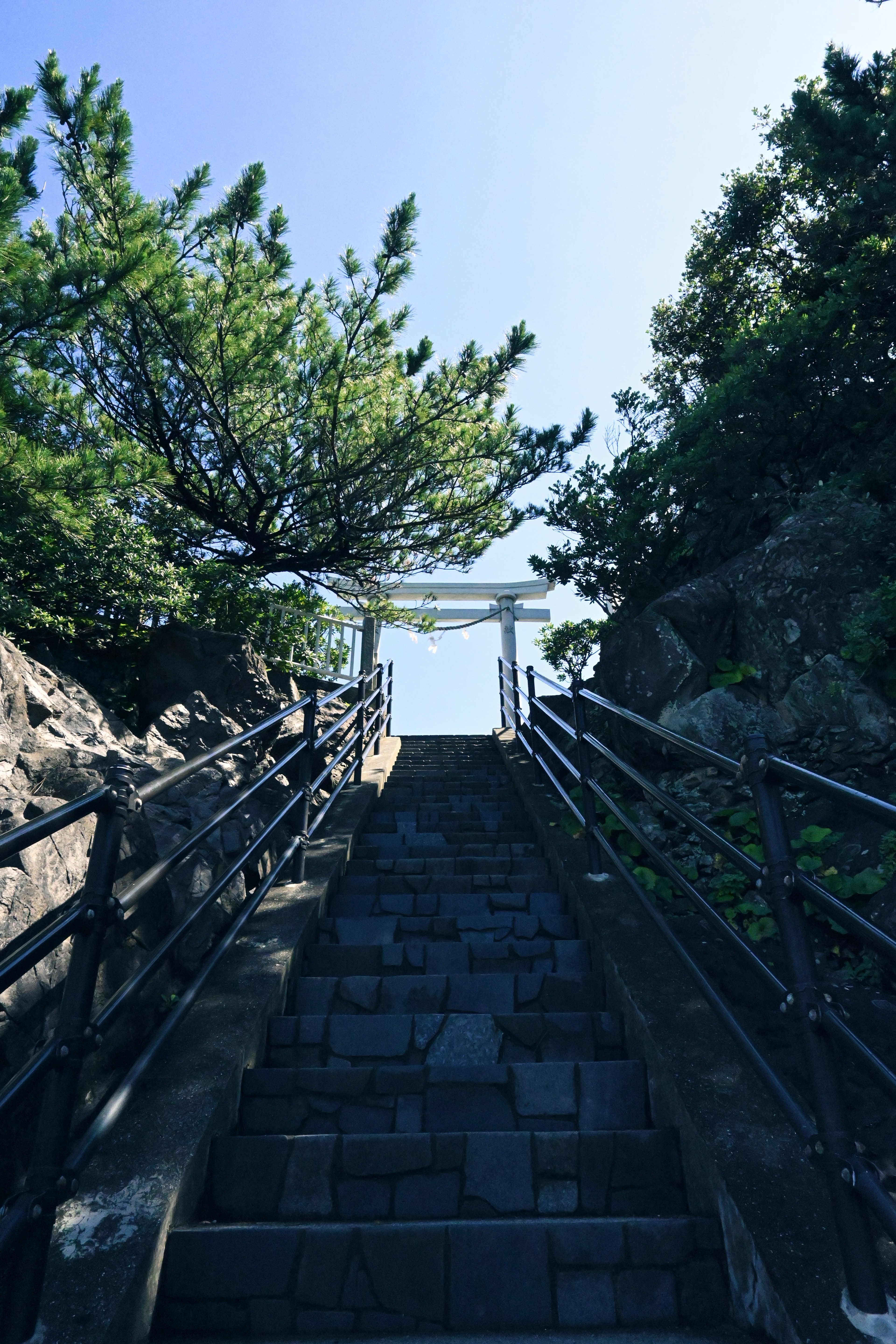 Escalones de piedra que llevan a un torii rodeado de vegetación