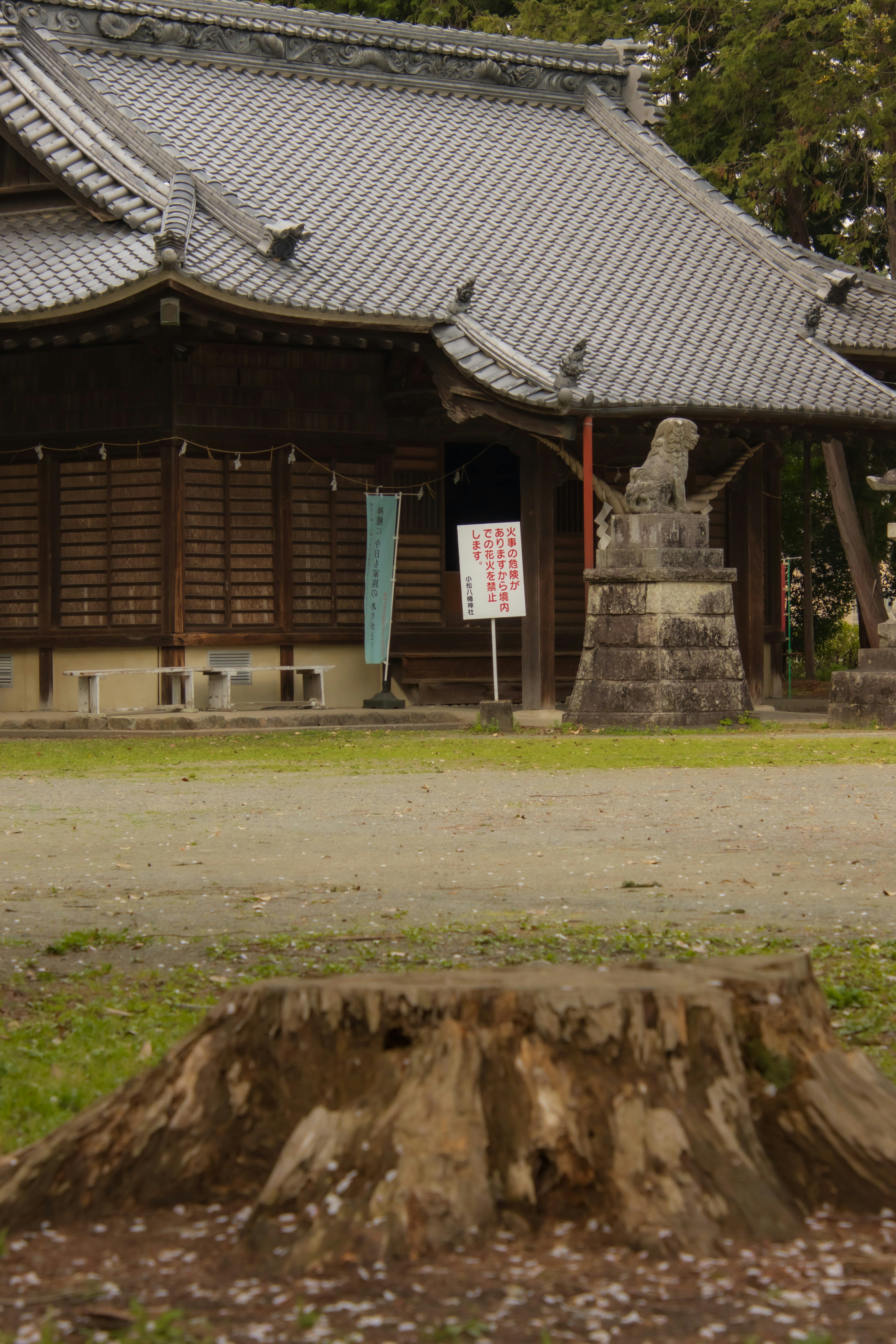 Souche d'arbre près d'un vieux temple avec un toit traditionnel