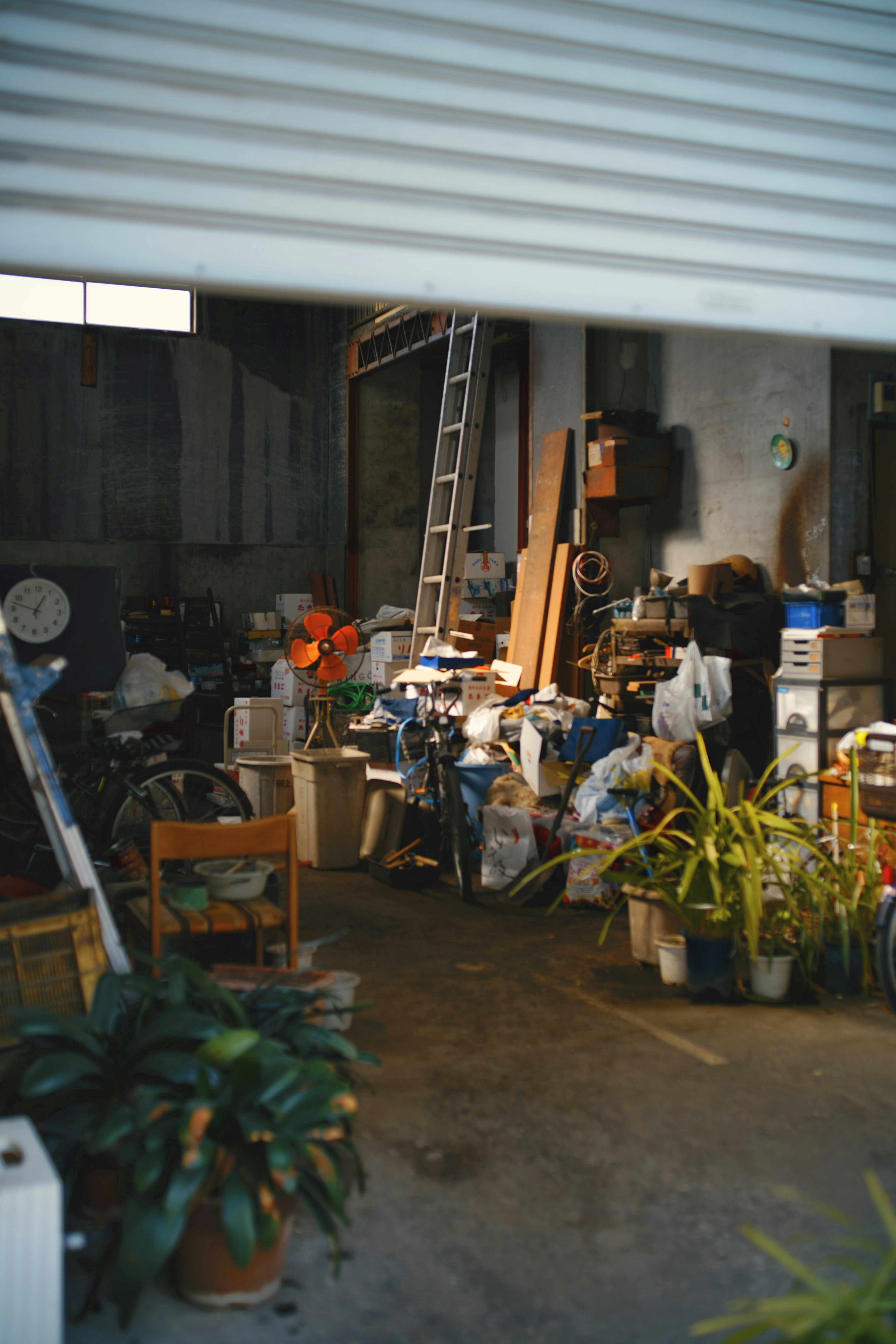 Unordnung im Inneren einer Garage mit verschiedenen Werkzeugen und Pflanzen