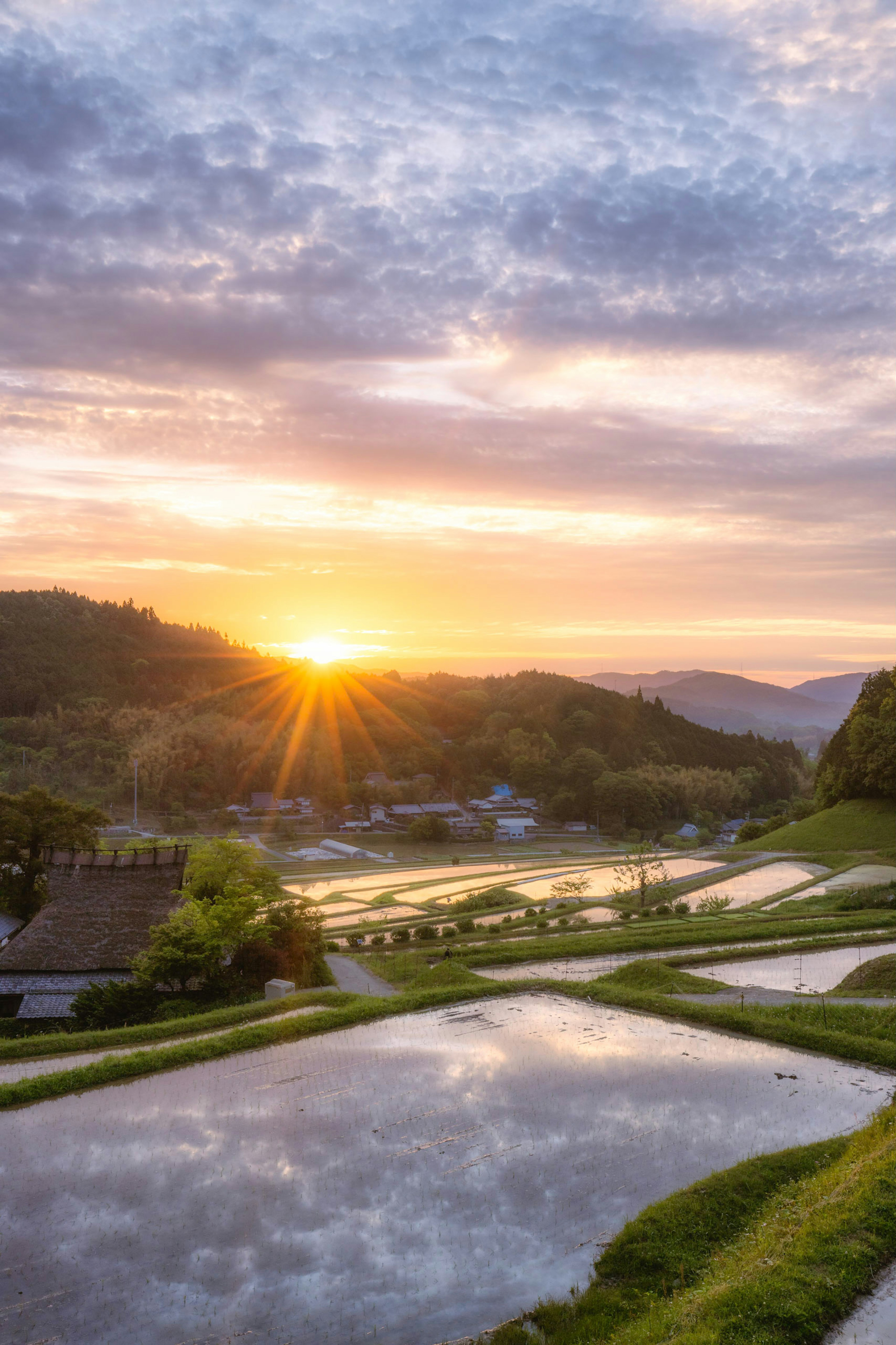 美しい夕日が田んぼに反射する風景