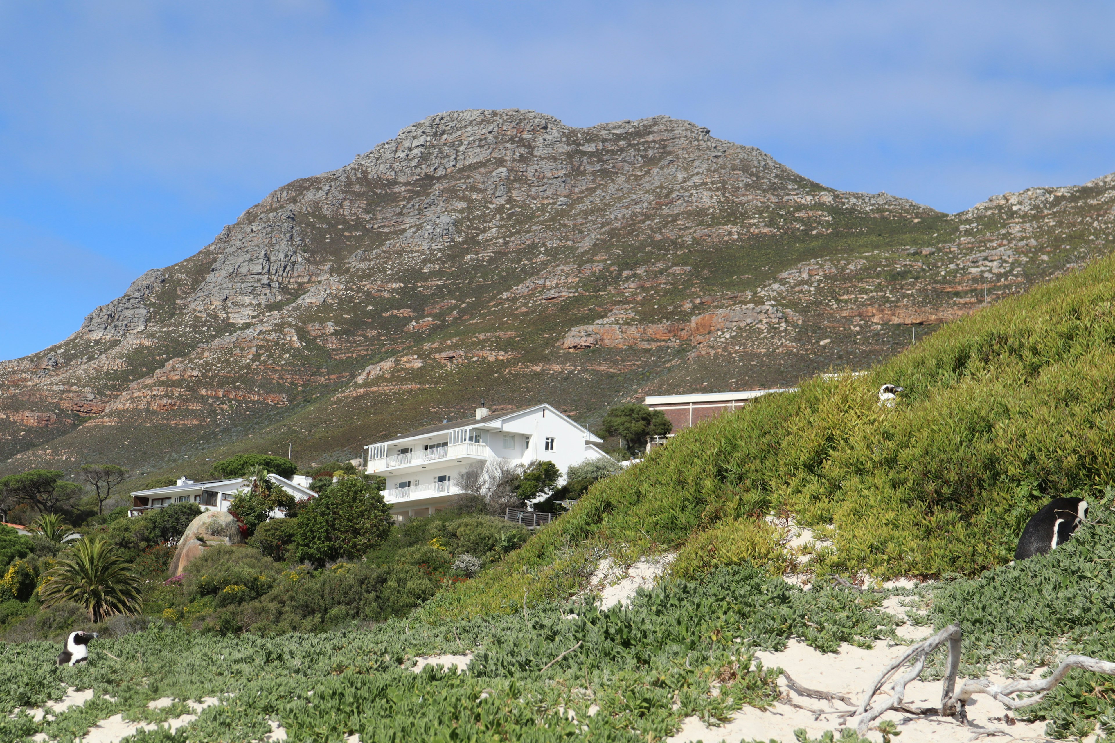 White houses nestled among lush greenery with a mountain backdrop