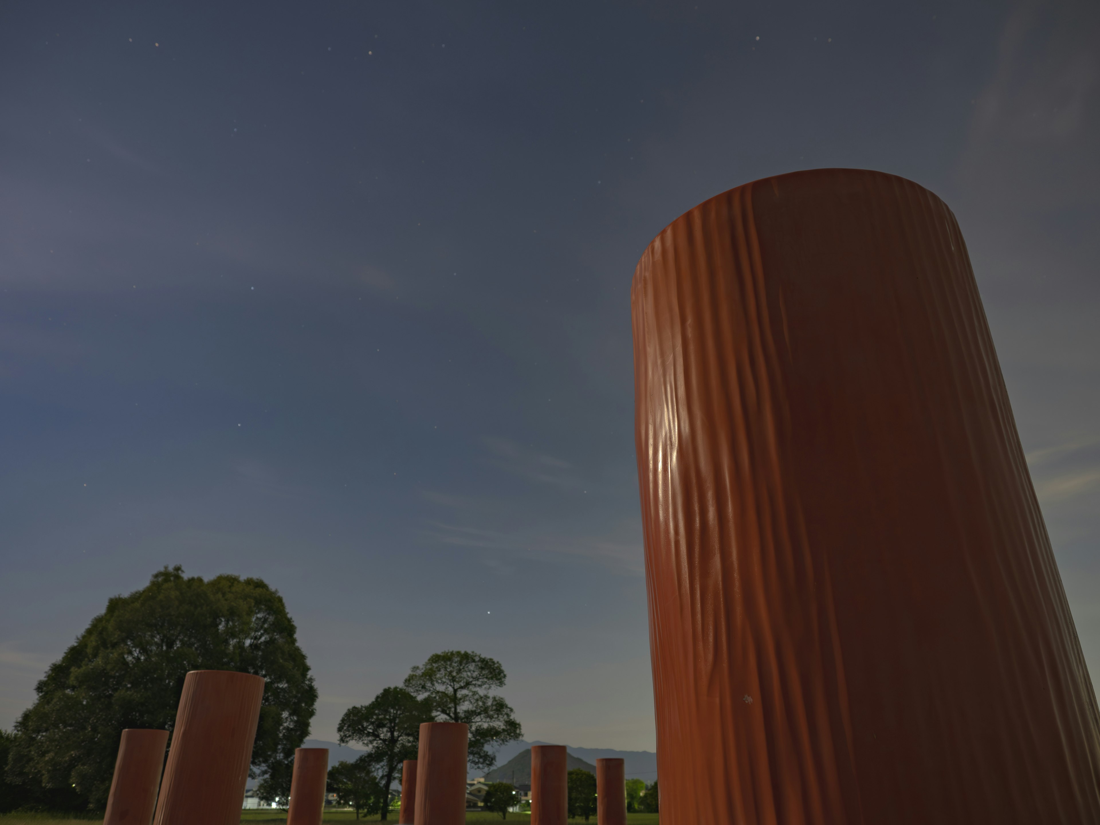 Multiple brown pillars under the night sky with a green tree