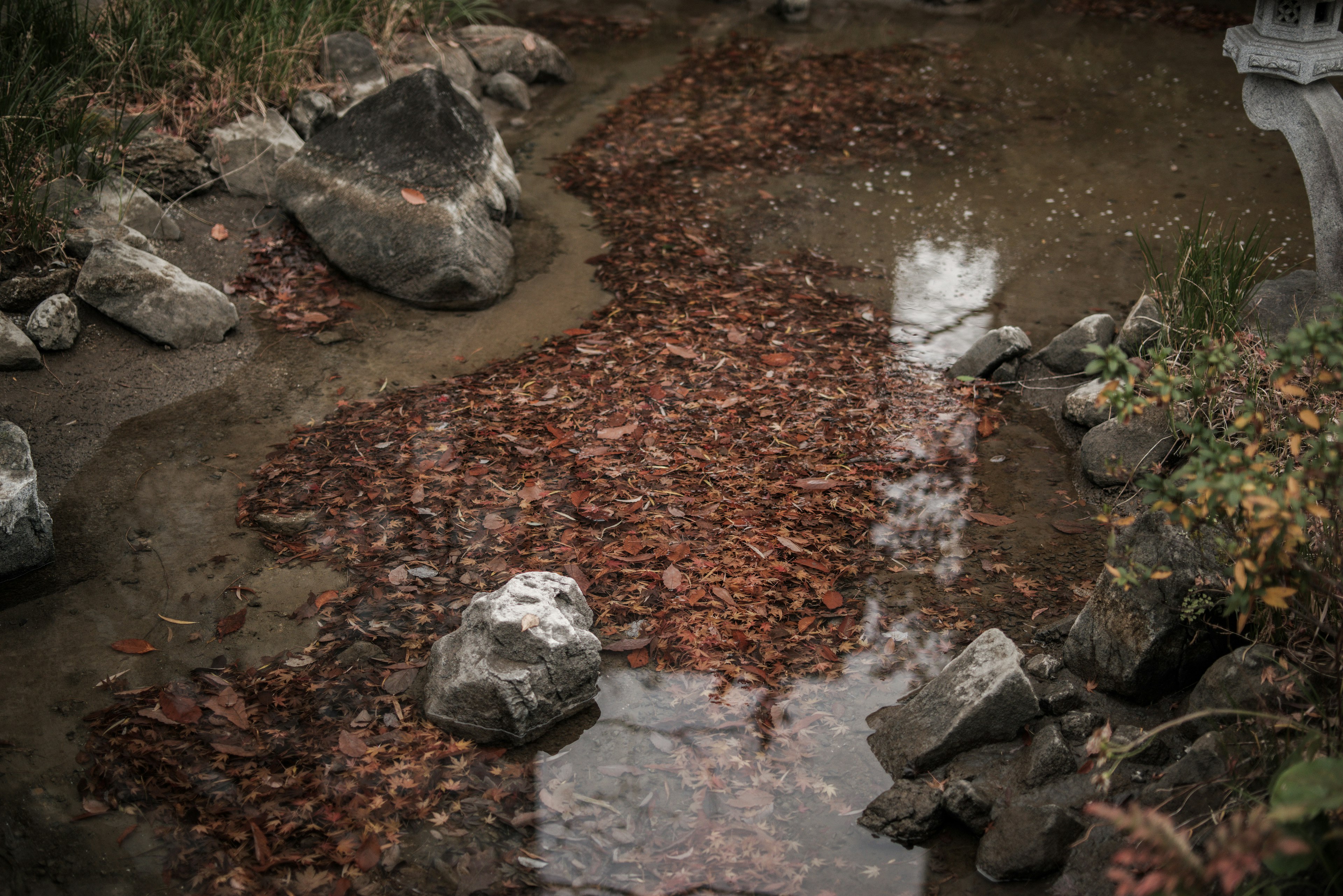 Scène tranquille au bord de l'eau avec des feuilles tombées et des pierres éparpillées