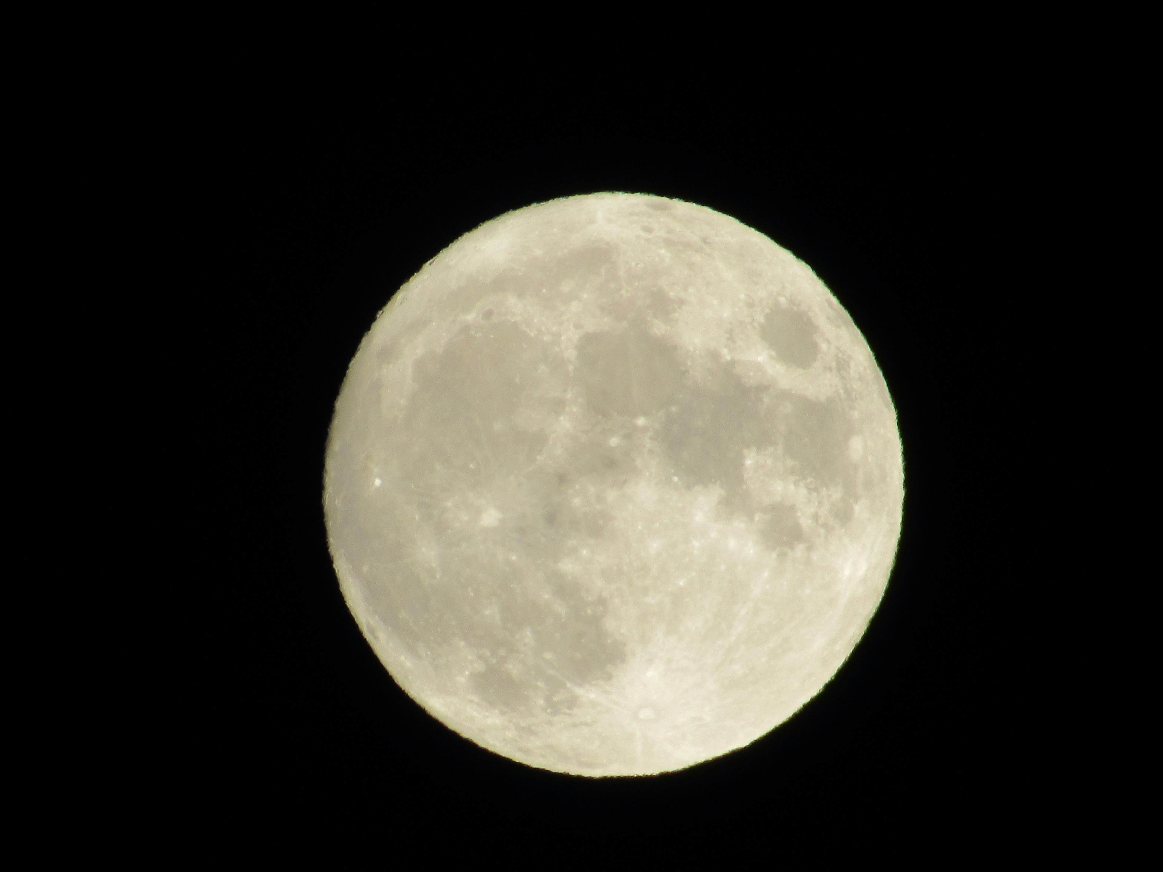 Helle Vollmond vor schwarzem Hintergrund