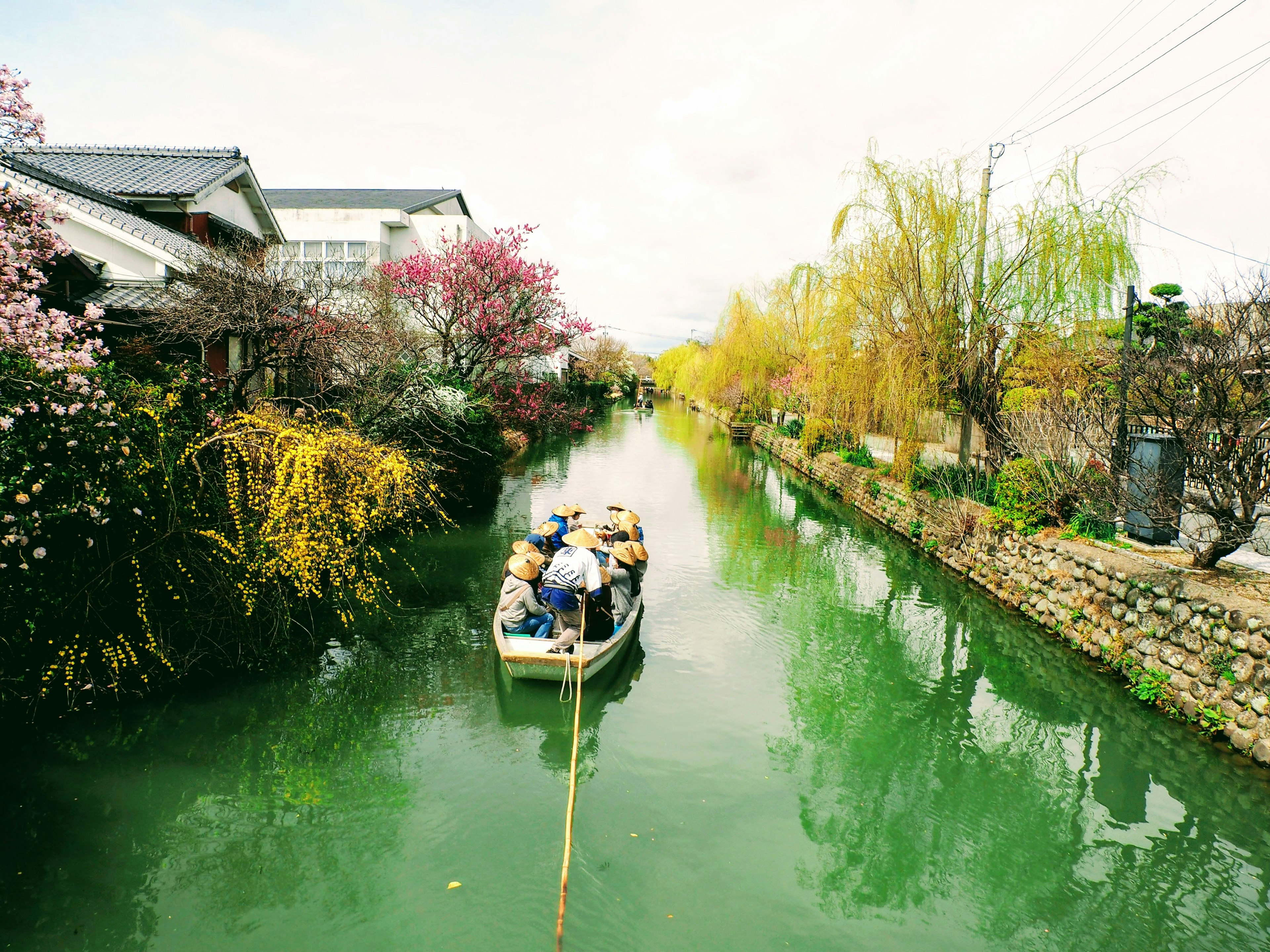 Un petit bateau naviguant dans un canal vert entouré d'arbres en fleurs