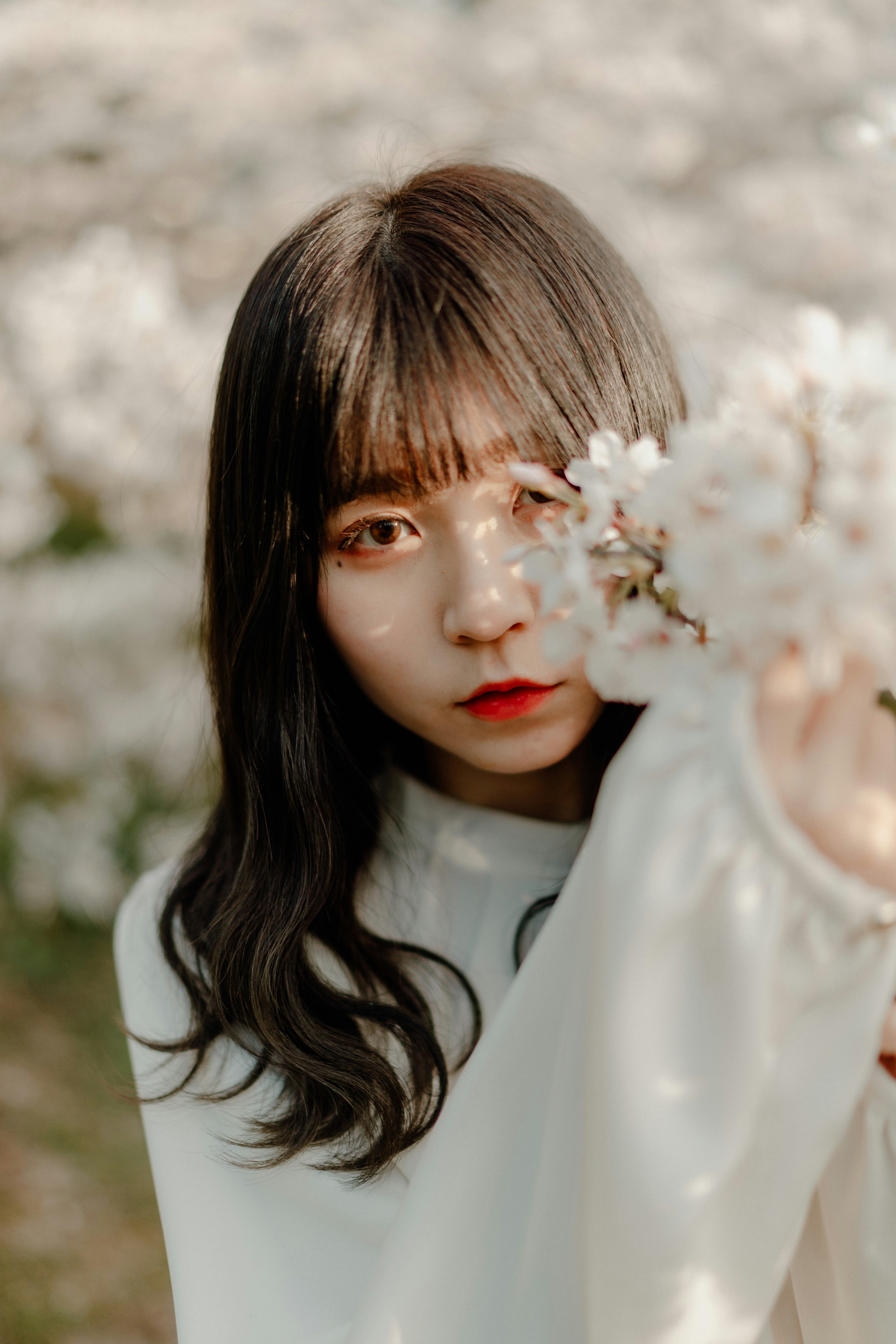 Ritratto di una ragazza che tiene dei fiori di ciliegio con alberi di ciliegio sfocati sullo sfondo