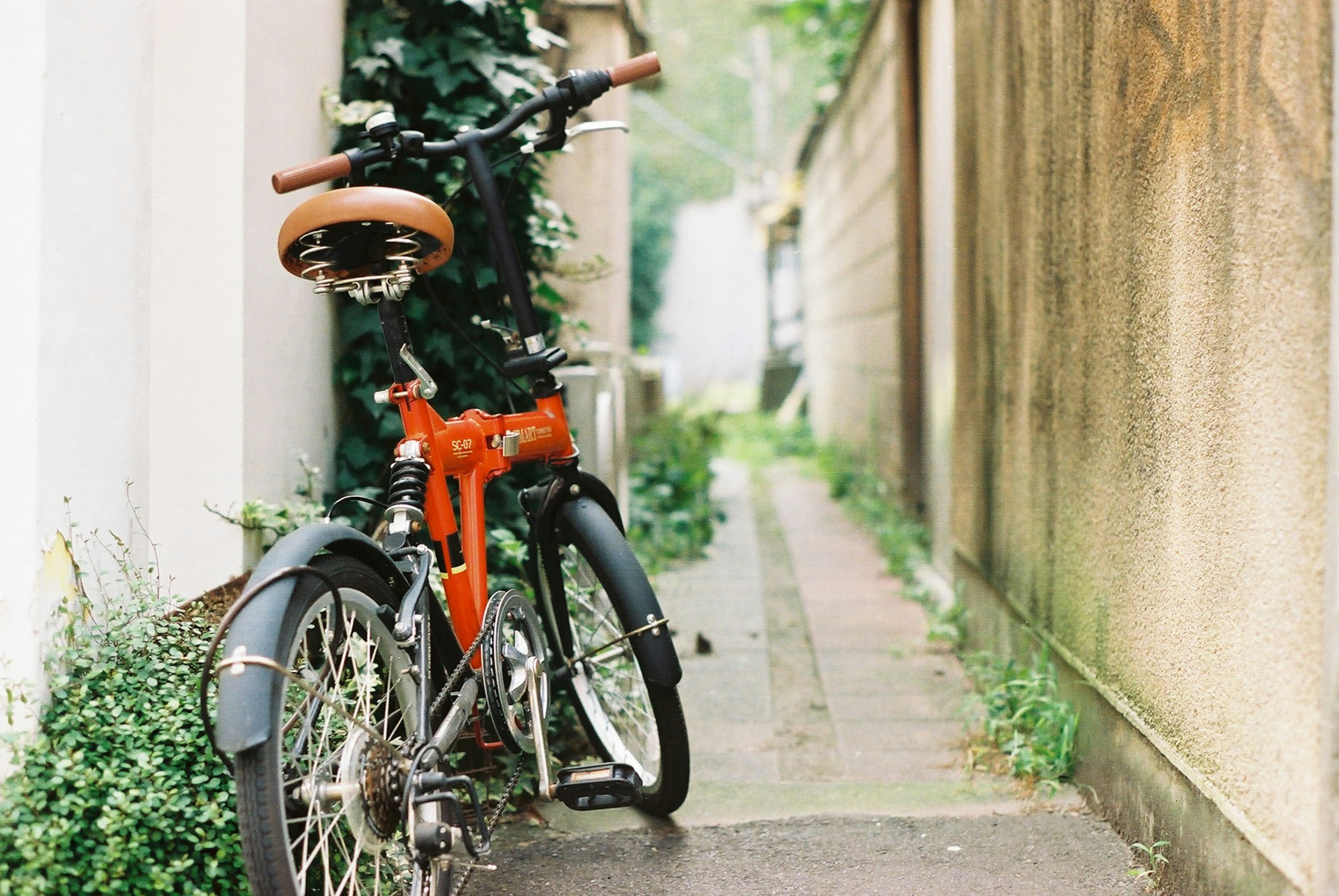 An orange bicycle parked on a narrow path beside a wall covered in greenery