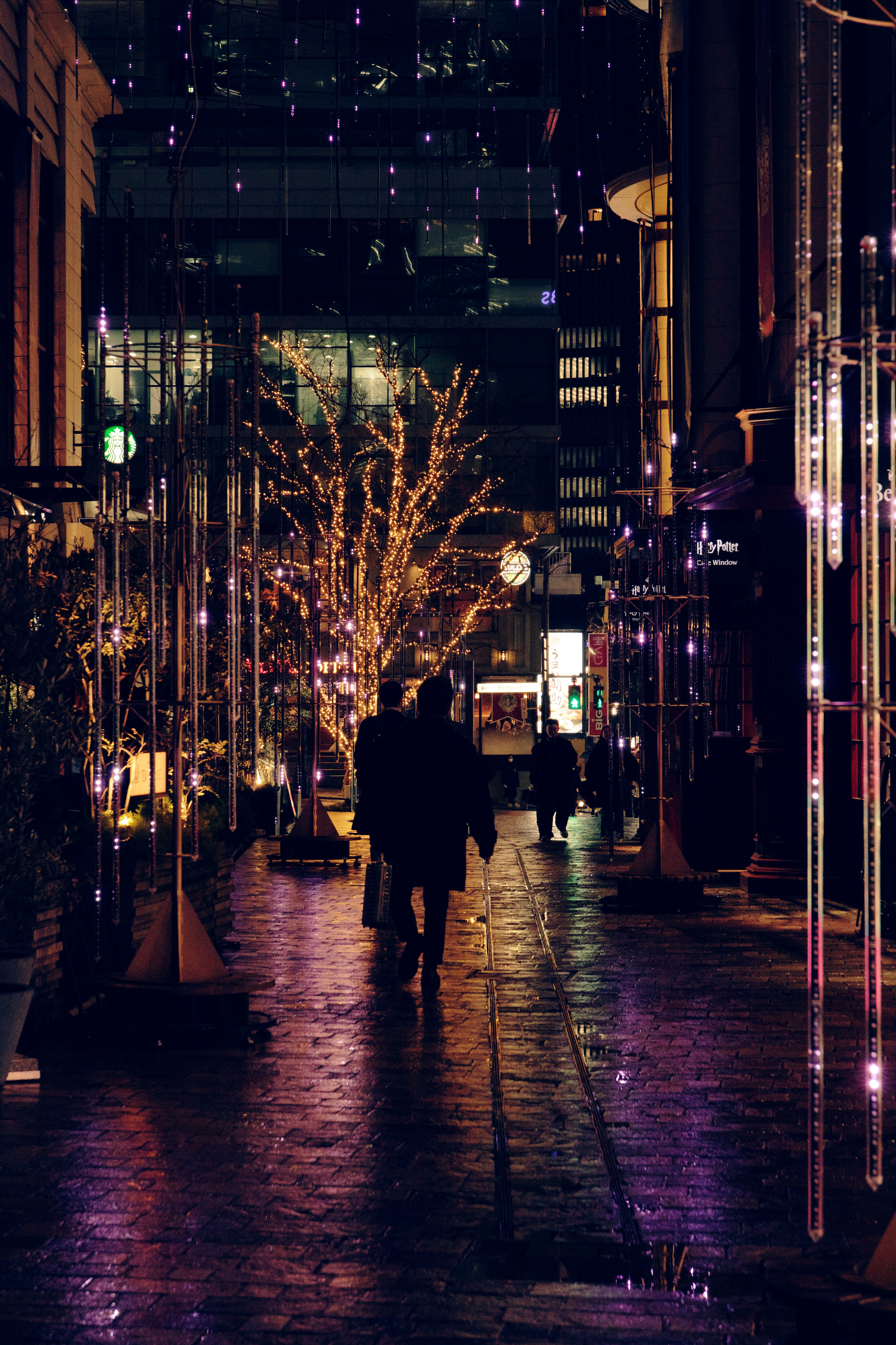 Illuminated tree and silhouettes of people in a nighttime city scene