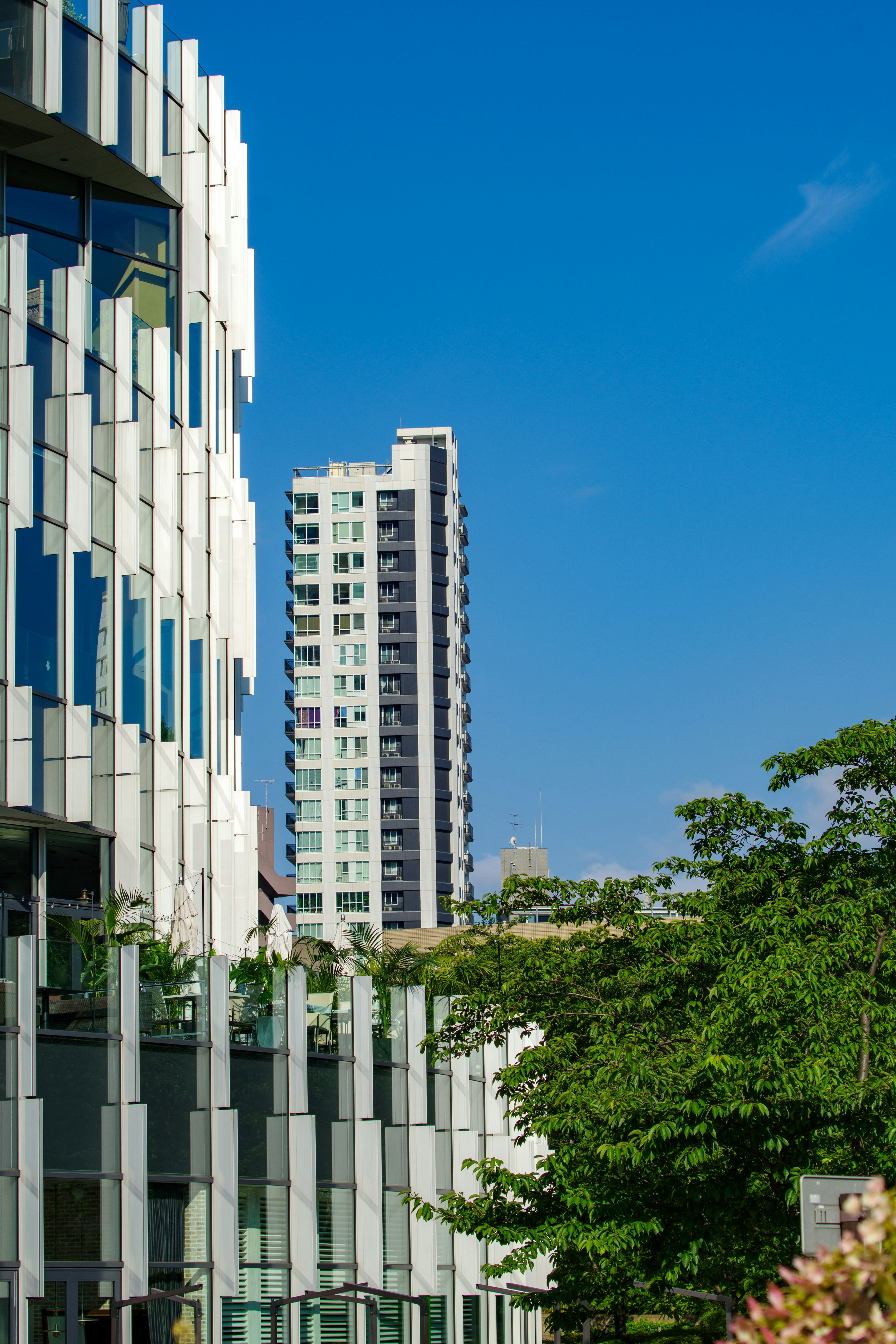 Modern buildings under a clear blue sky with prominent green trees