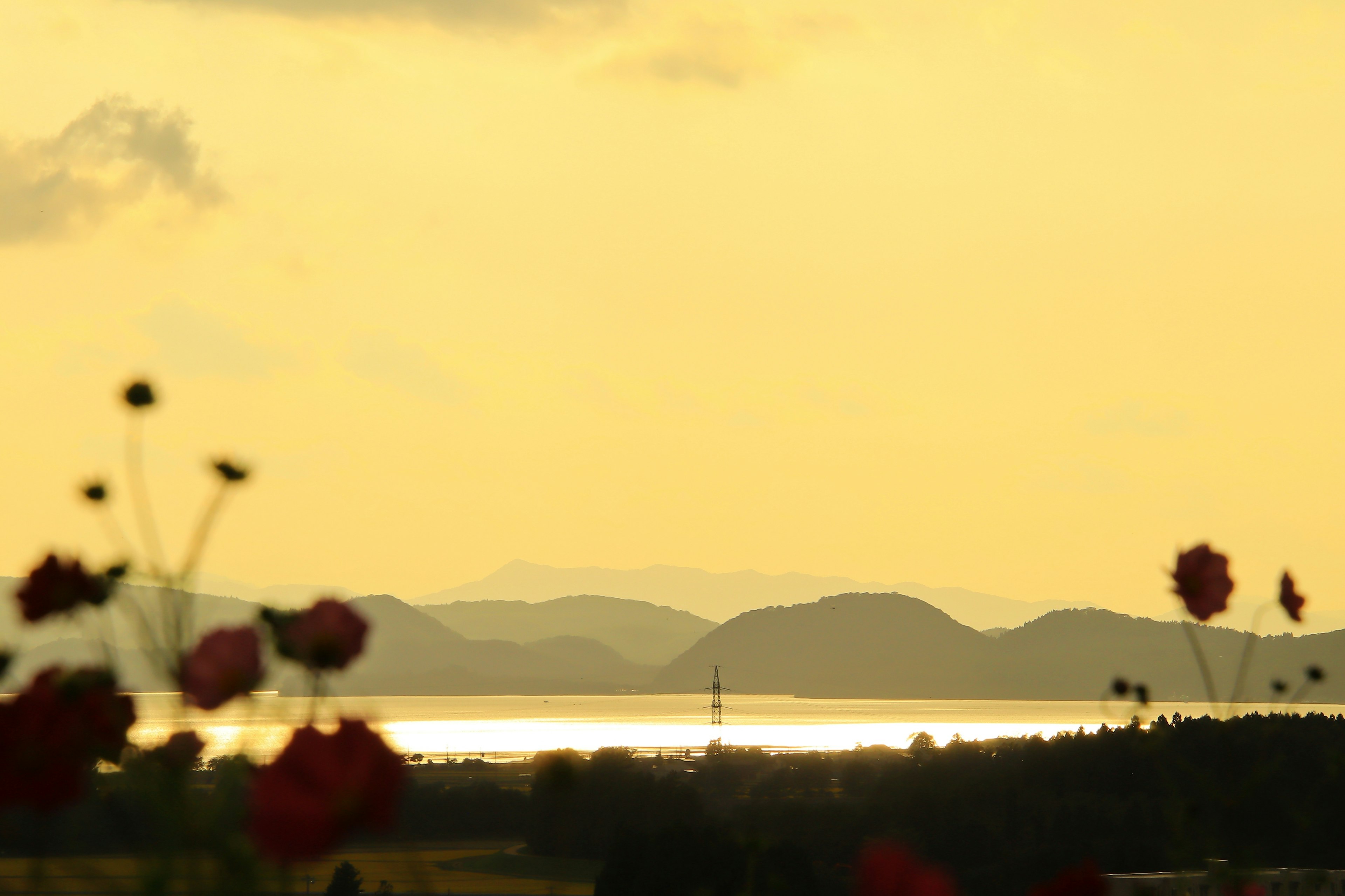 Vue de montagnes et de lac sous un ciel de coucher de soleil avec des fleurs rouges au premier plan