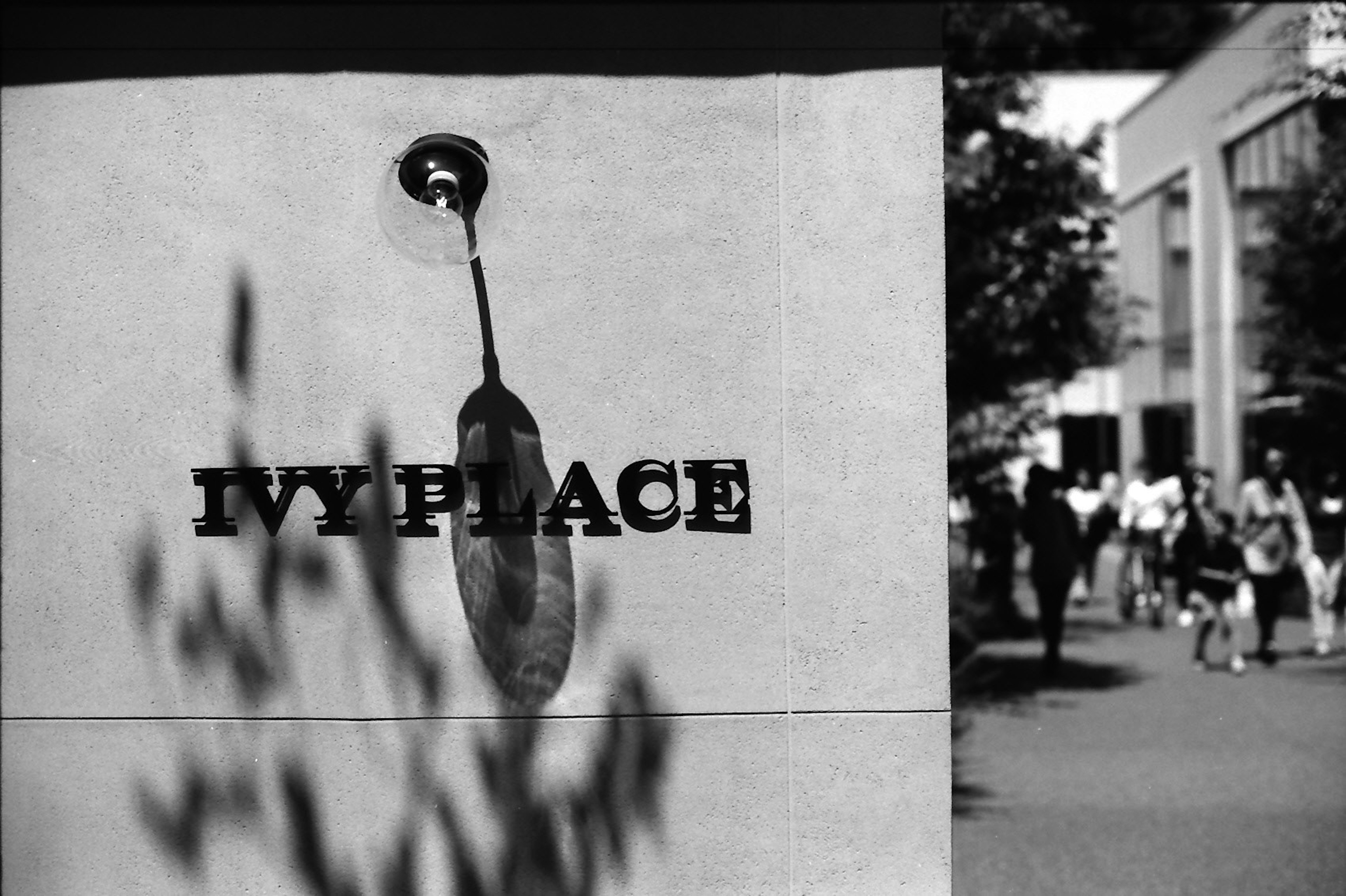 Schild für Ivy Place mit dem Schatten eines Blattes und Fußgängern im Hintergrund