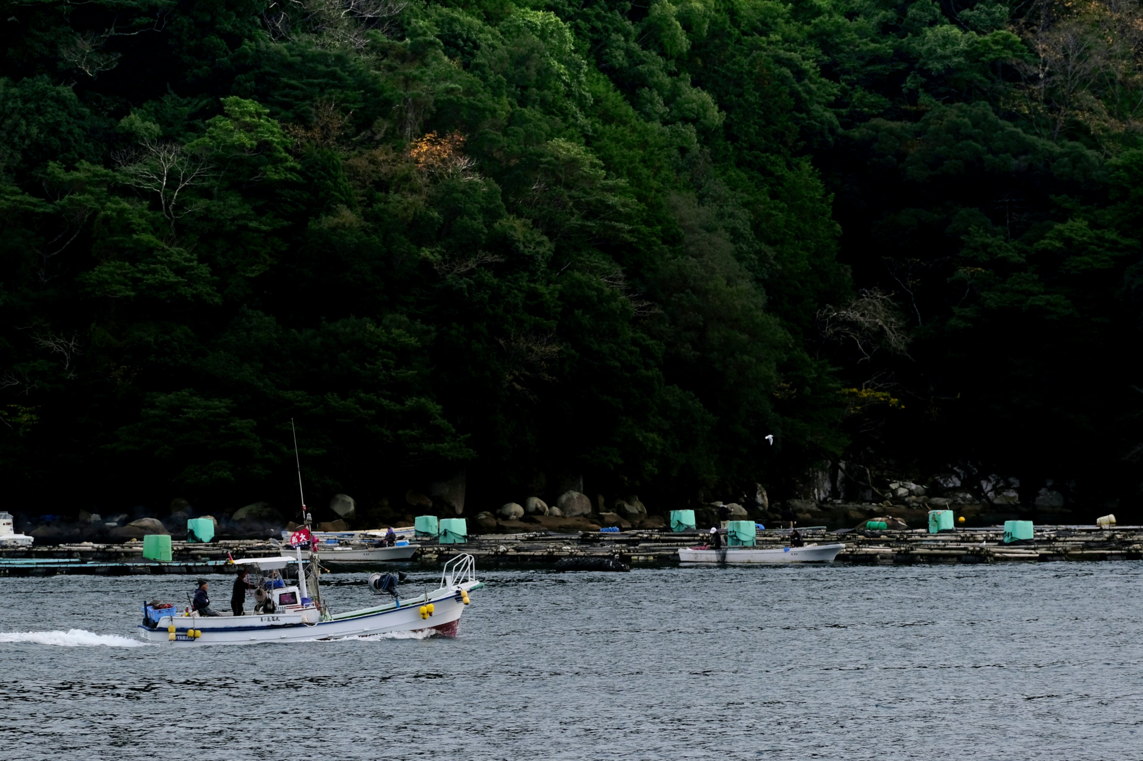 เรือประมงที่แล่นอยู่ในน้ำที่ถูกล้อมรอบด้วยต้นไม้เขียวขจี