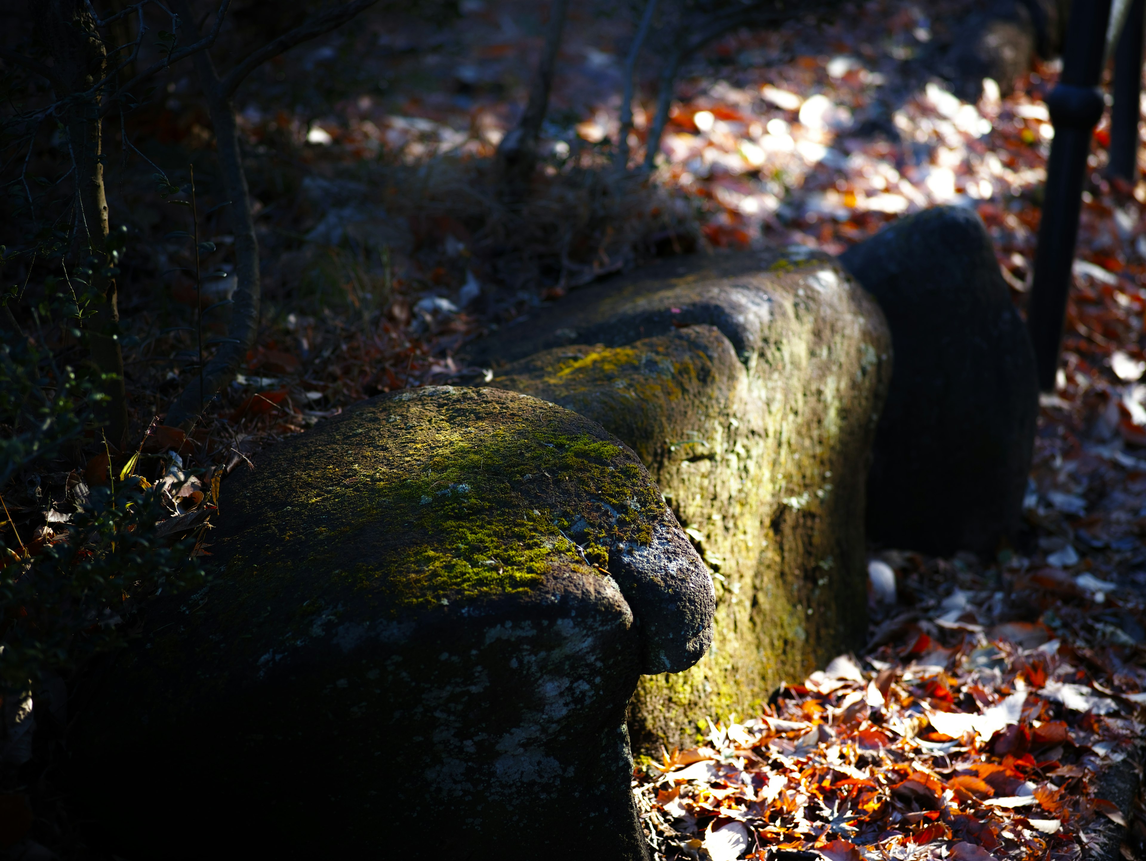 Scultura in pietra coperta di muschio in una foresta buia con foglie cadute