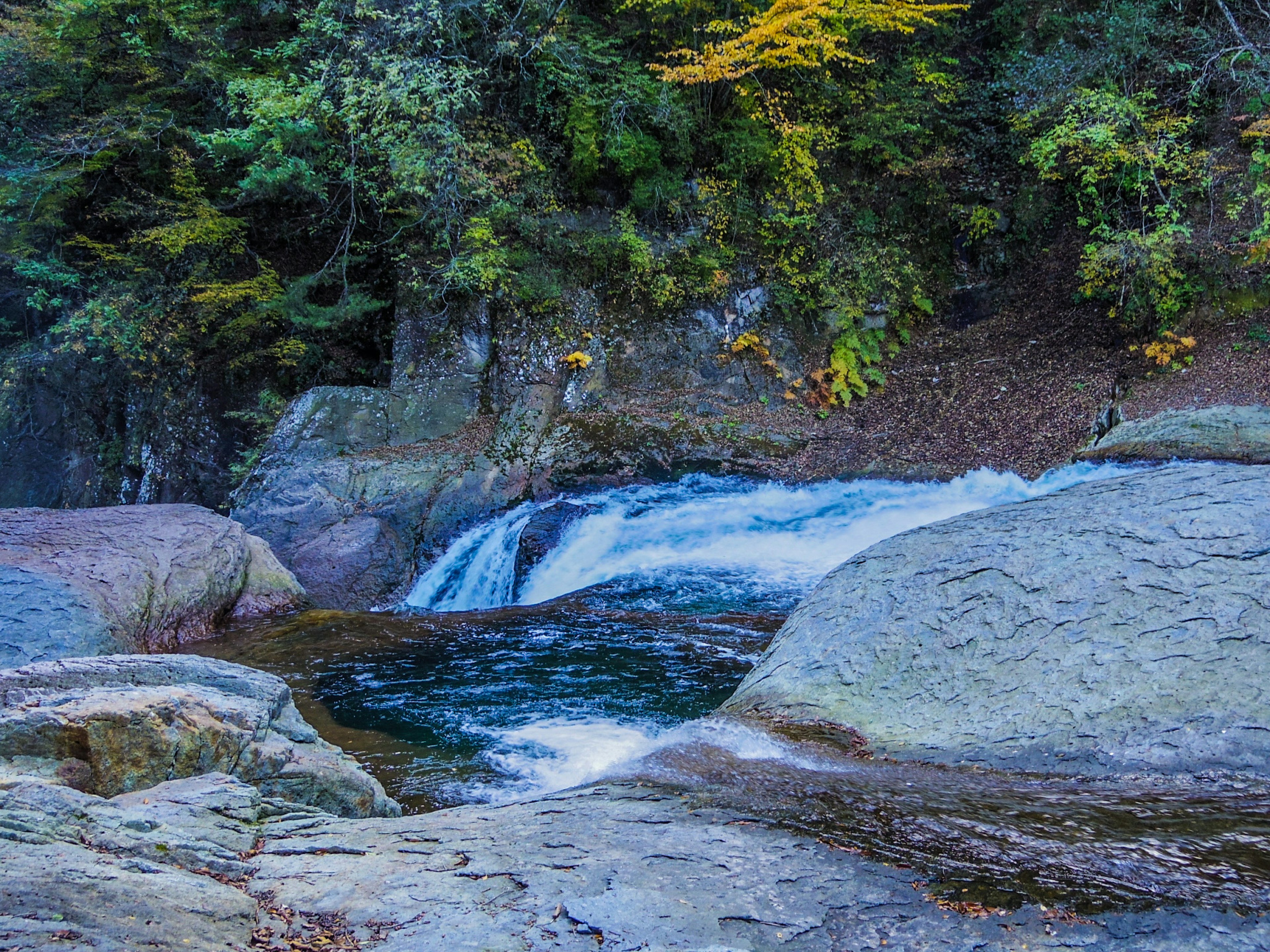 瀑布和流动河流的美丽景观，周围环绕着郁郁葱葱的绿树