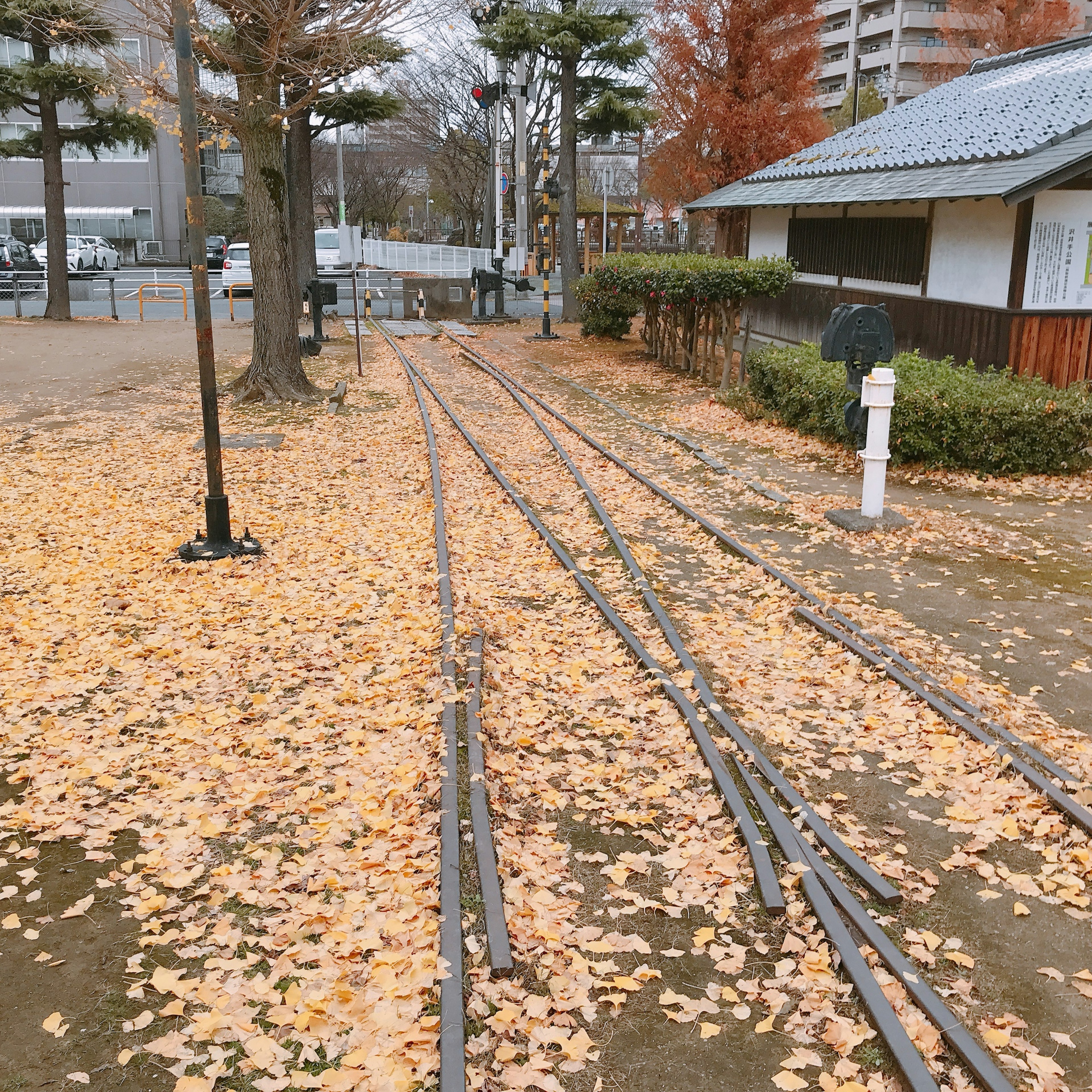 秋の公園の小道に敷き詰められた黄色い落ち葉と線路