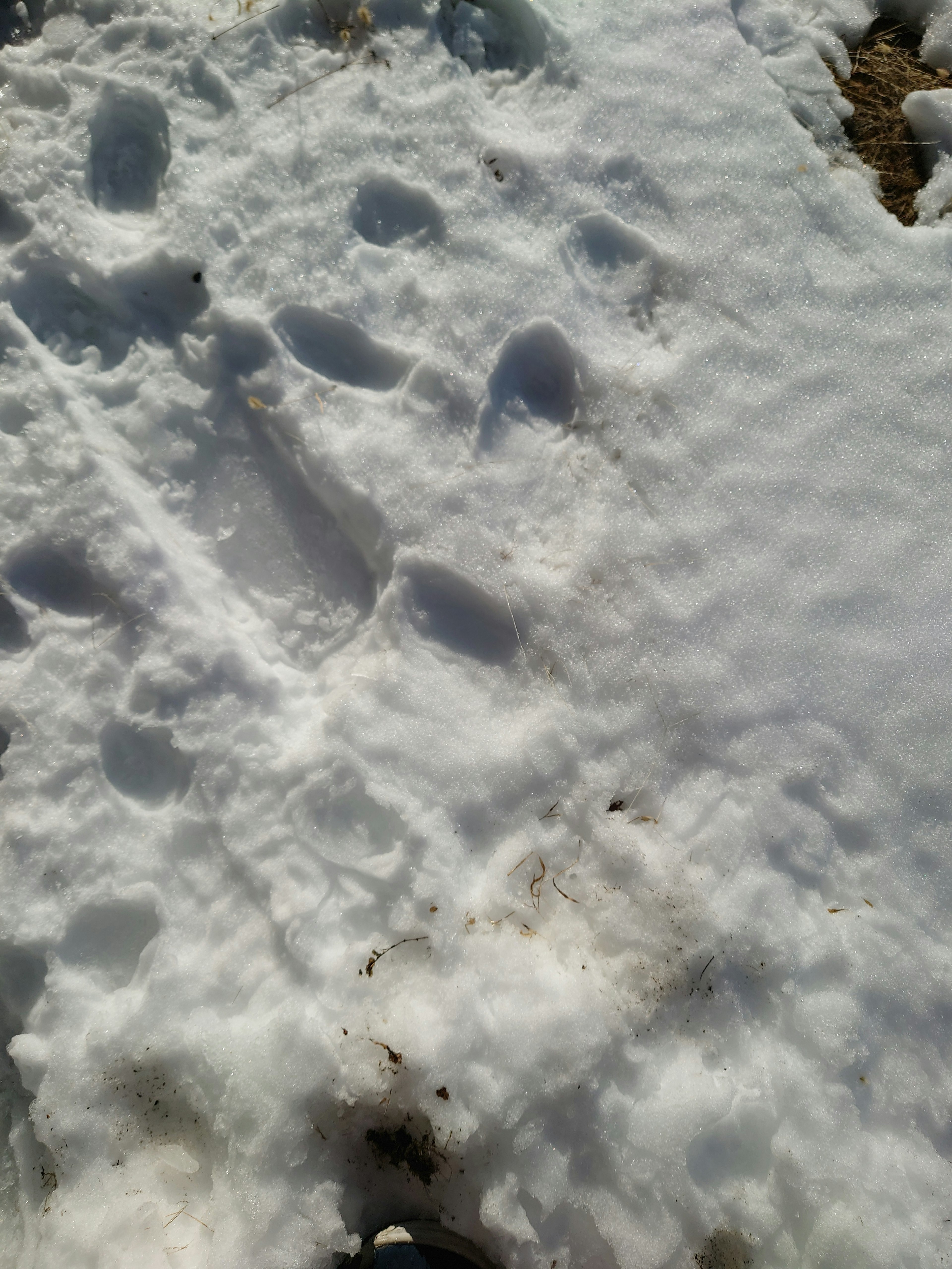 Footprints on snow with a textured surface