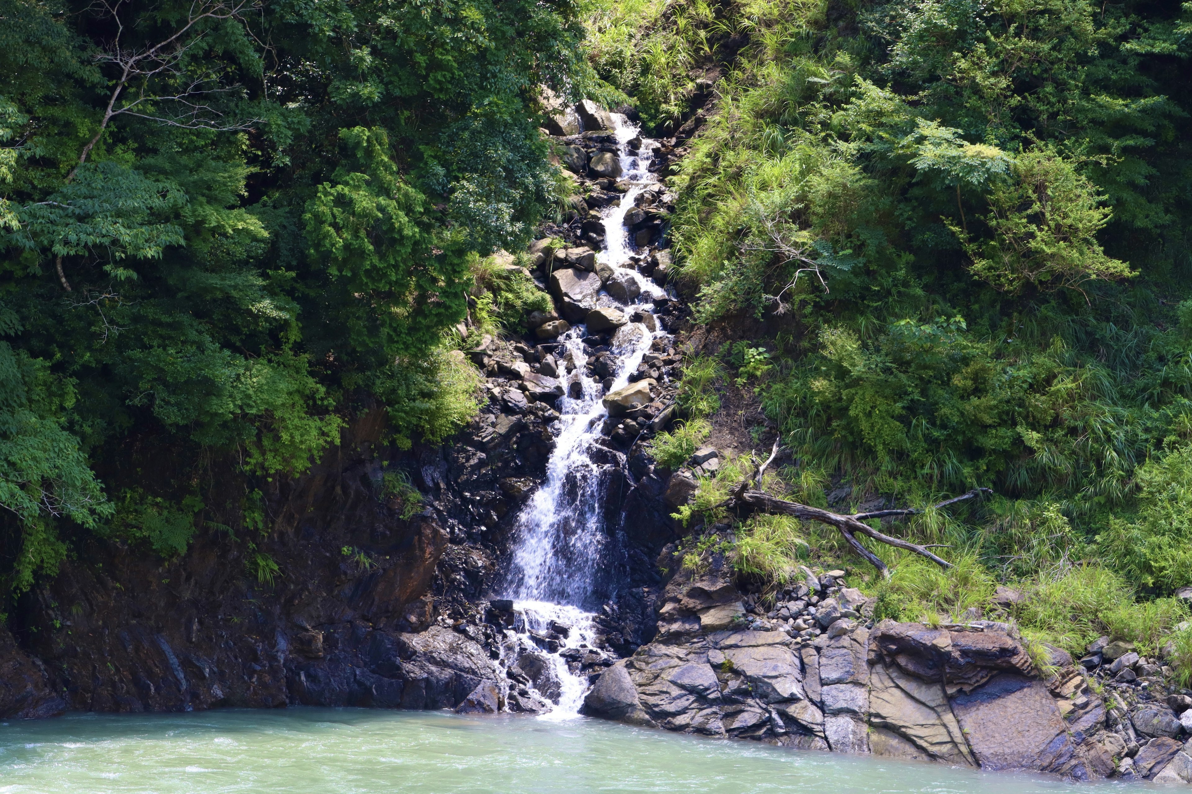 一小瀑布从岩石上流下，周围被郁郁葱葱的绿植环绕