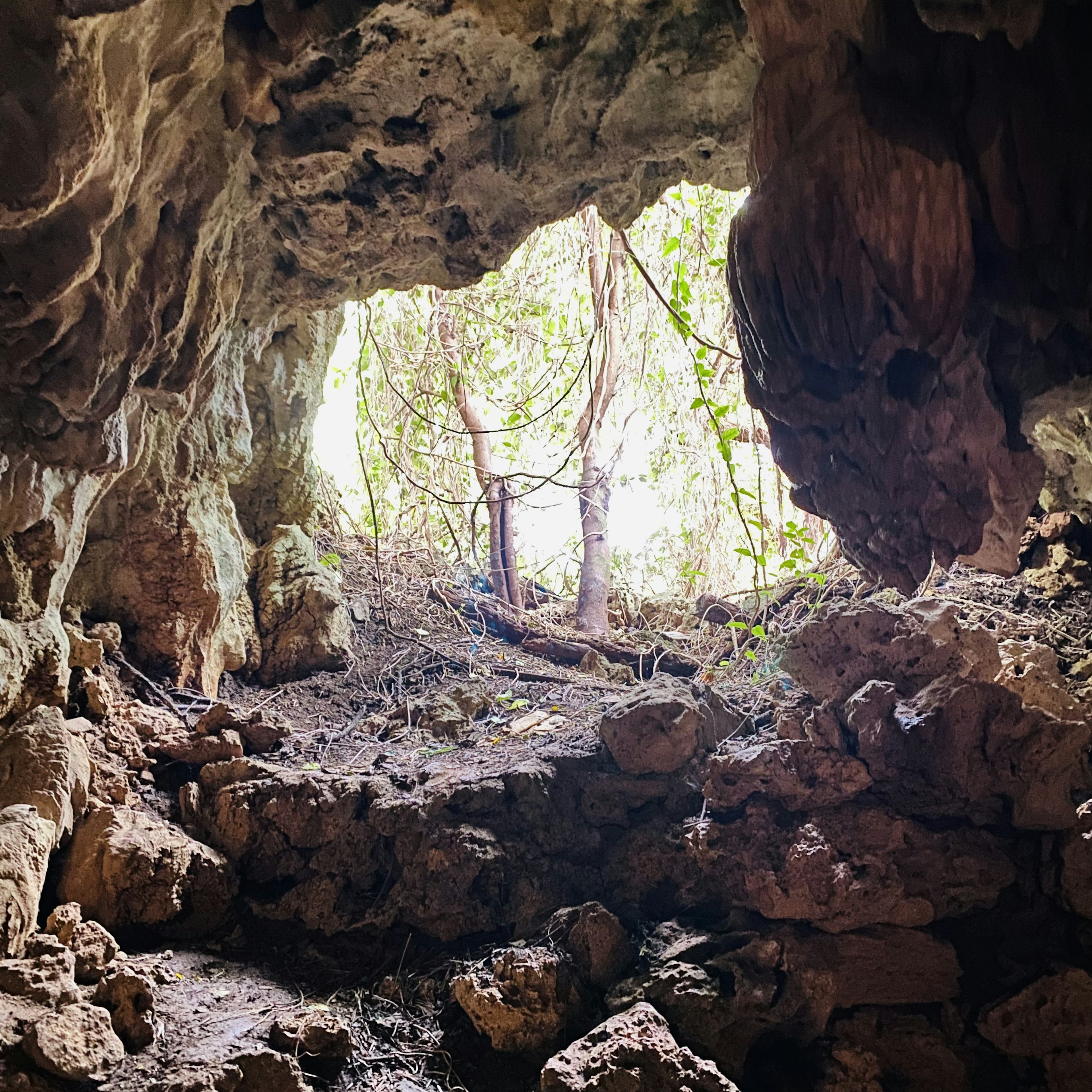 Vista interna di una grotta che mostra una vegetazione lussureggiante all'esterno e formazioni rocciose