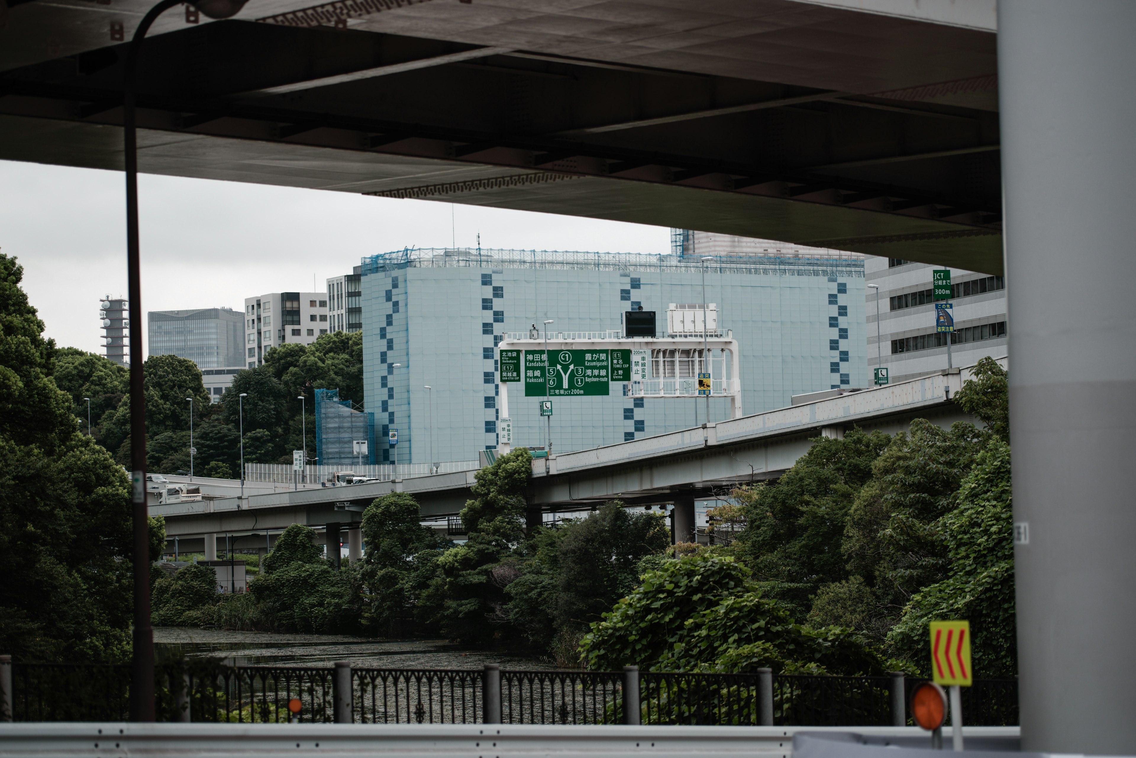 都市の風景にある高架道路と緑豊かな木々