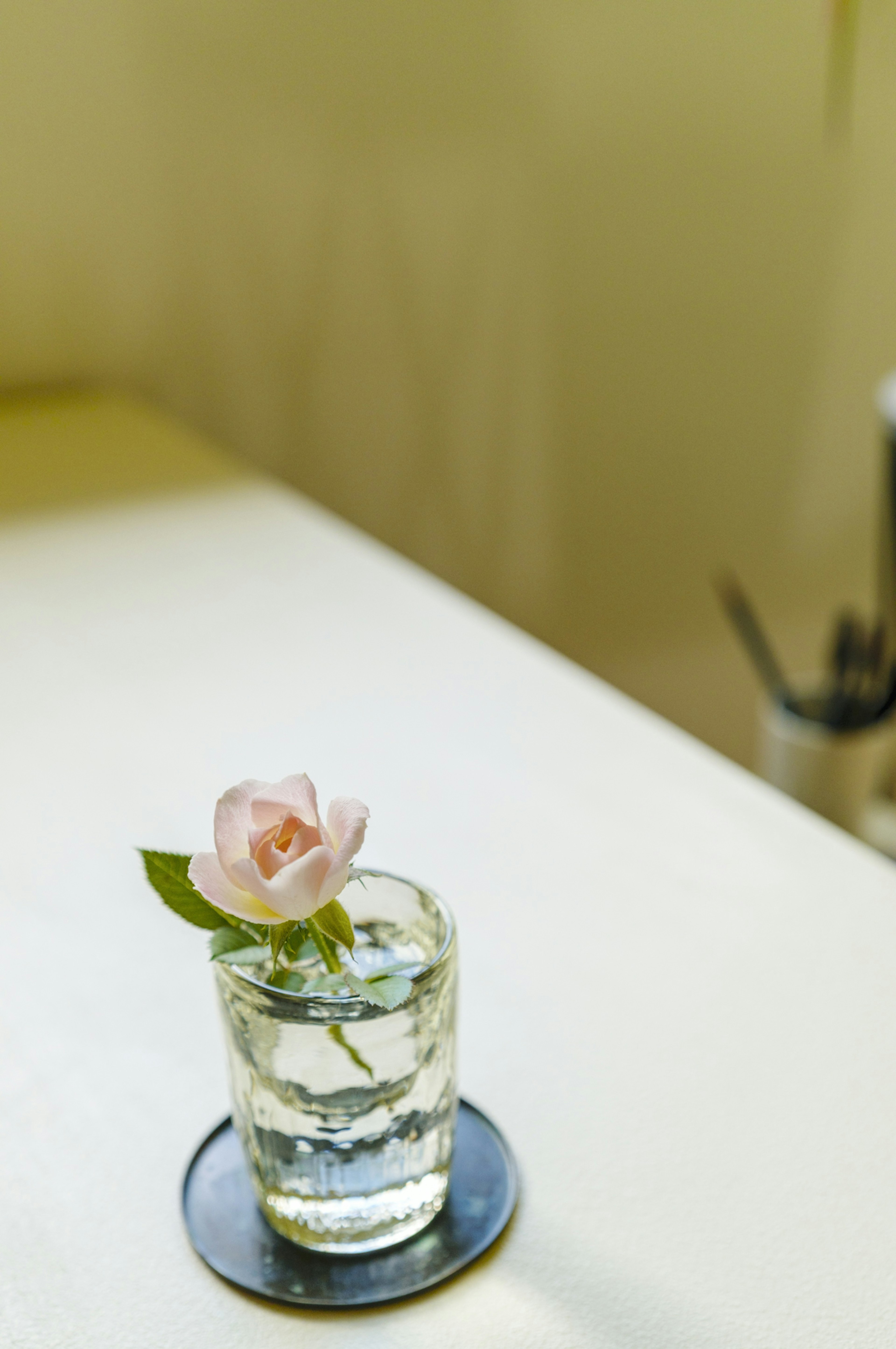 Un verre transparent rempli d'eau avec une fleur rose flottant dessus dans un arrangement simple et élégant