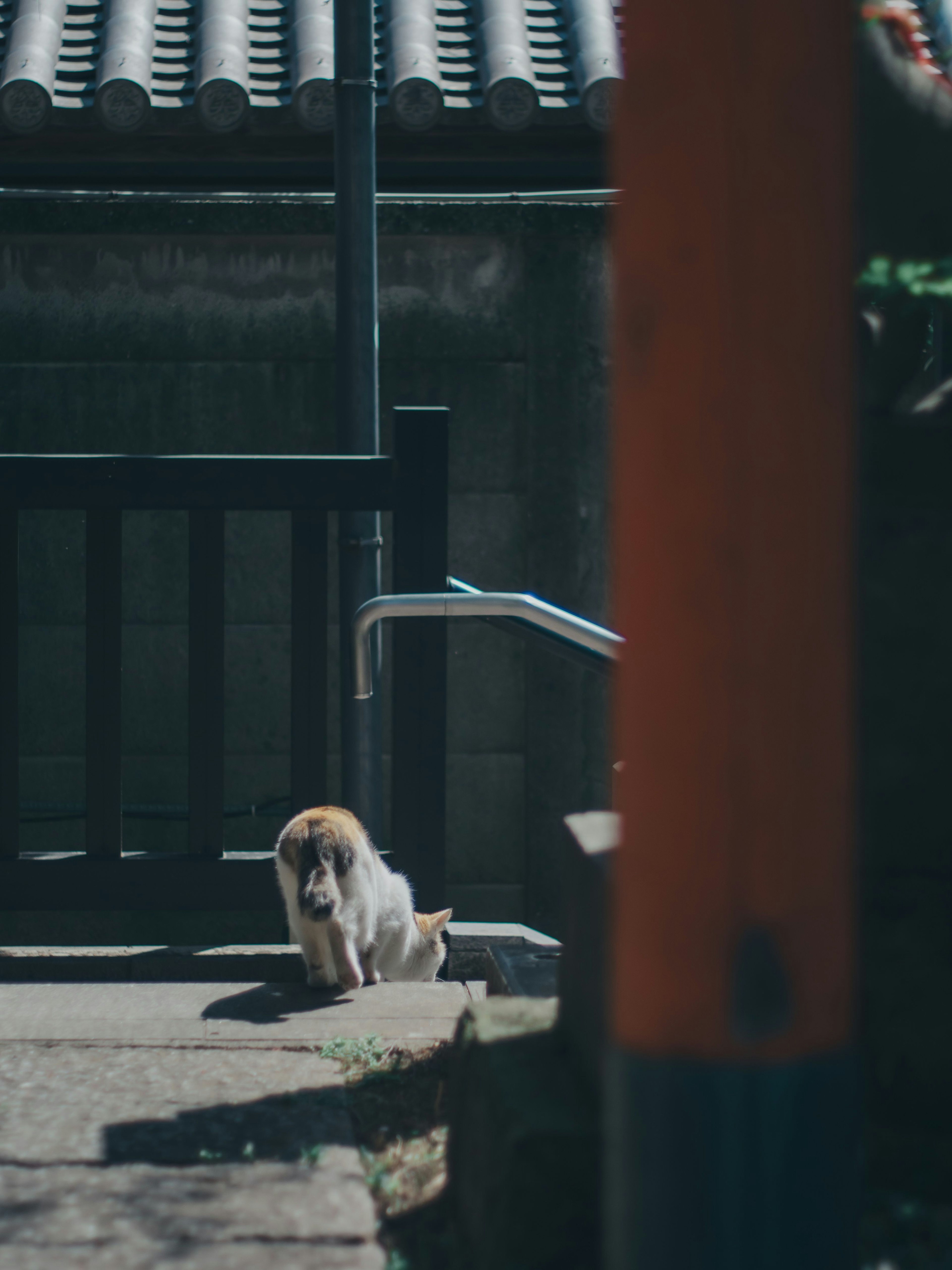 A dog sitting at the bottom of stairs with an old building roof in the background