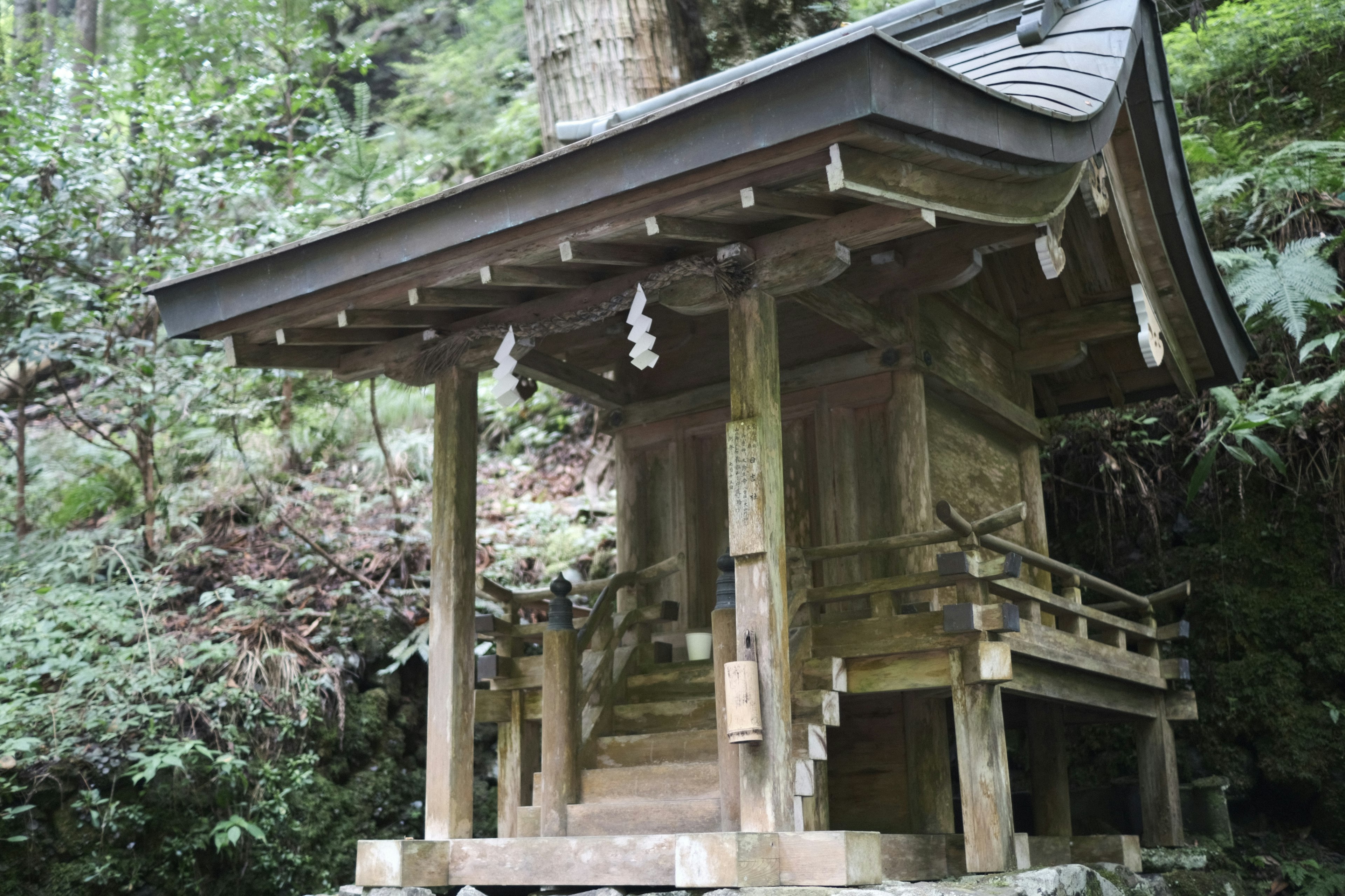 森林中的小神社建築