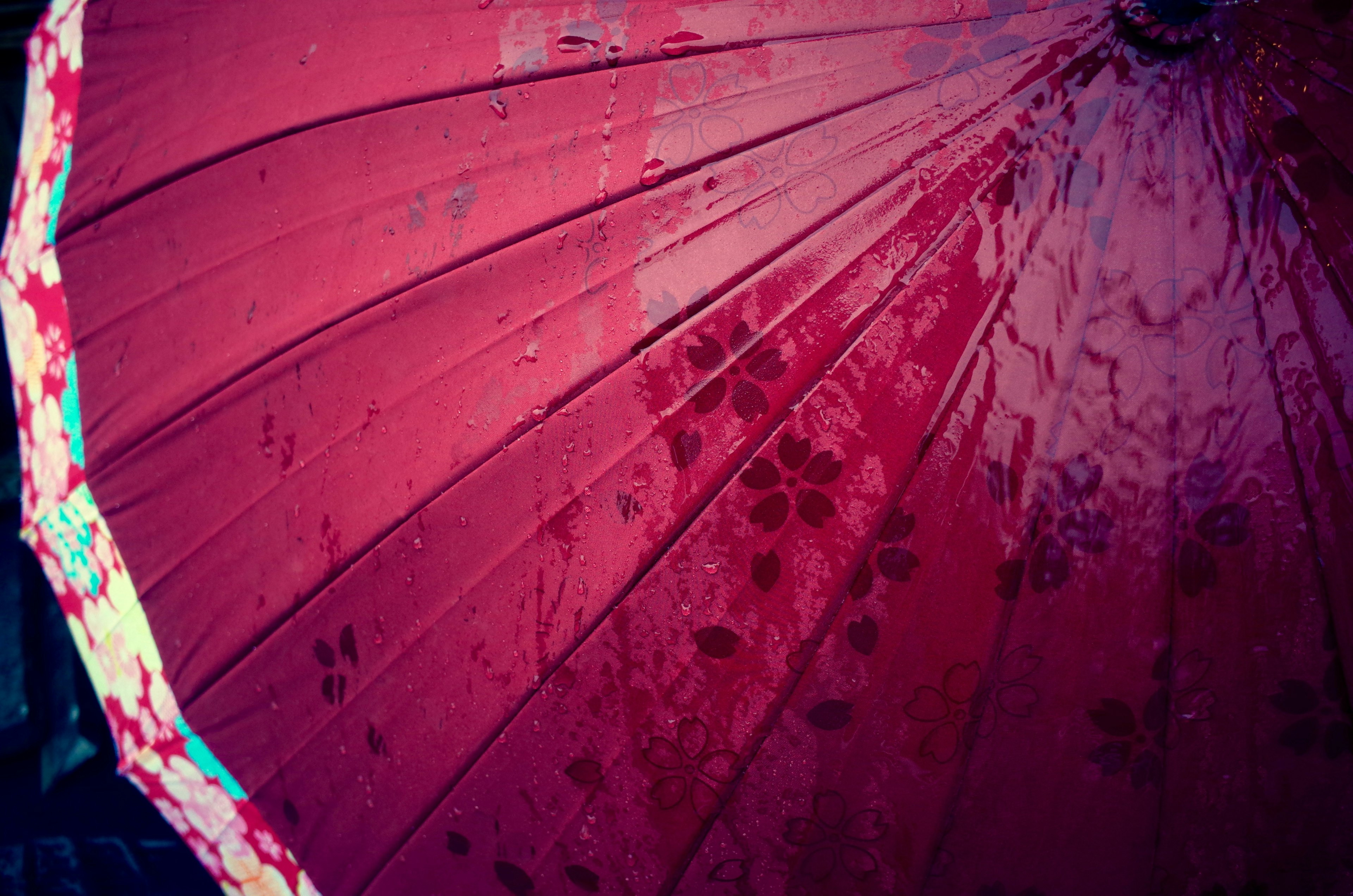 Close-up of a red umbrella showcasing intricate details and vibrant colors