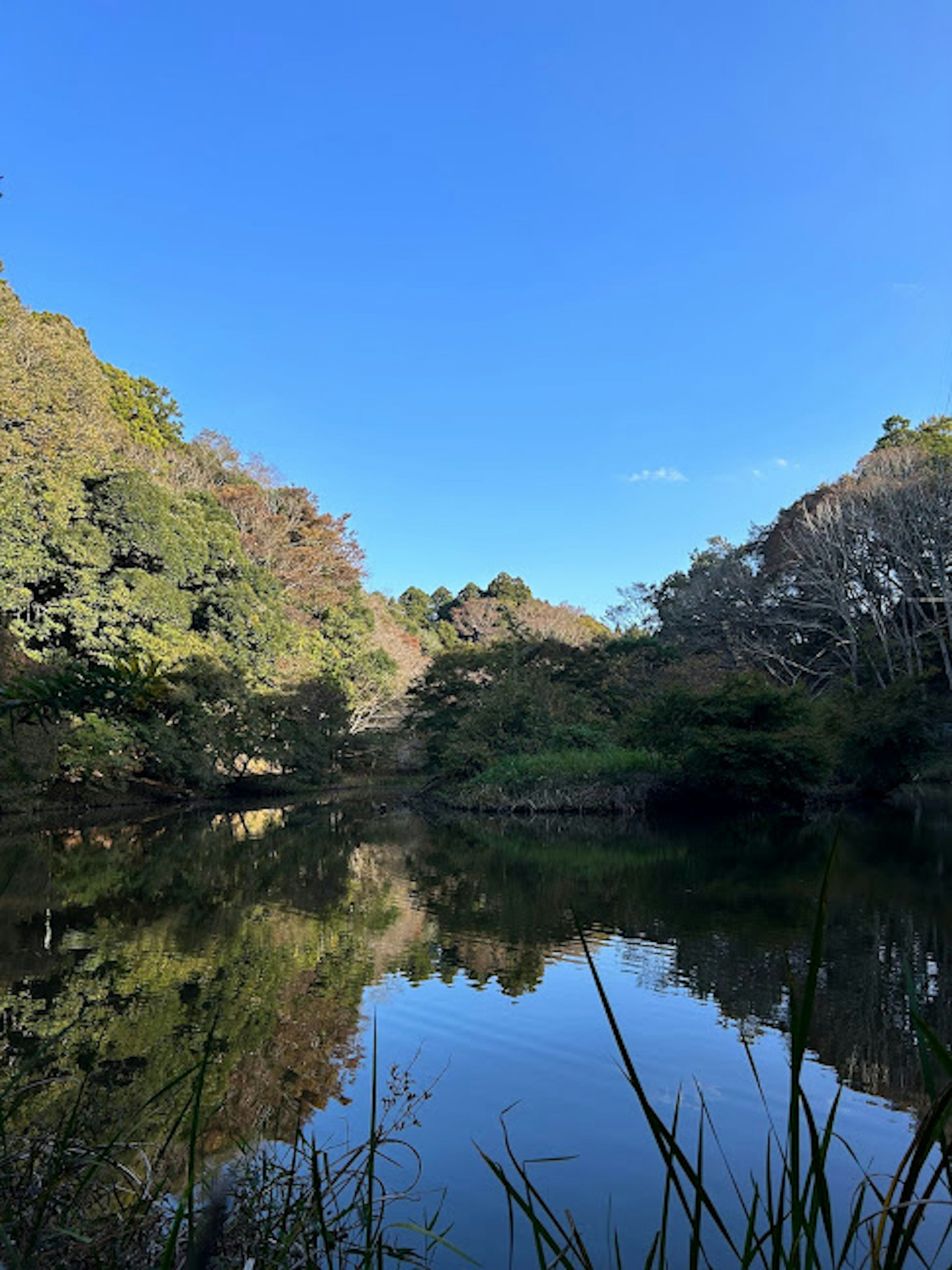 ทิวทัศน์ทะเลสาบที่เงียบสงบสะท้อนท้องฟ้าสีฟ้าและต้นไม้สีเขียว